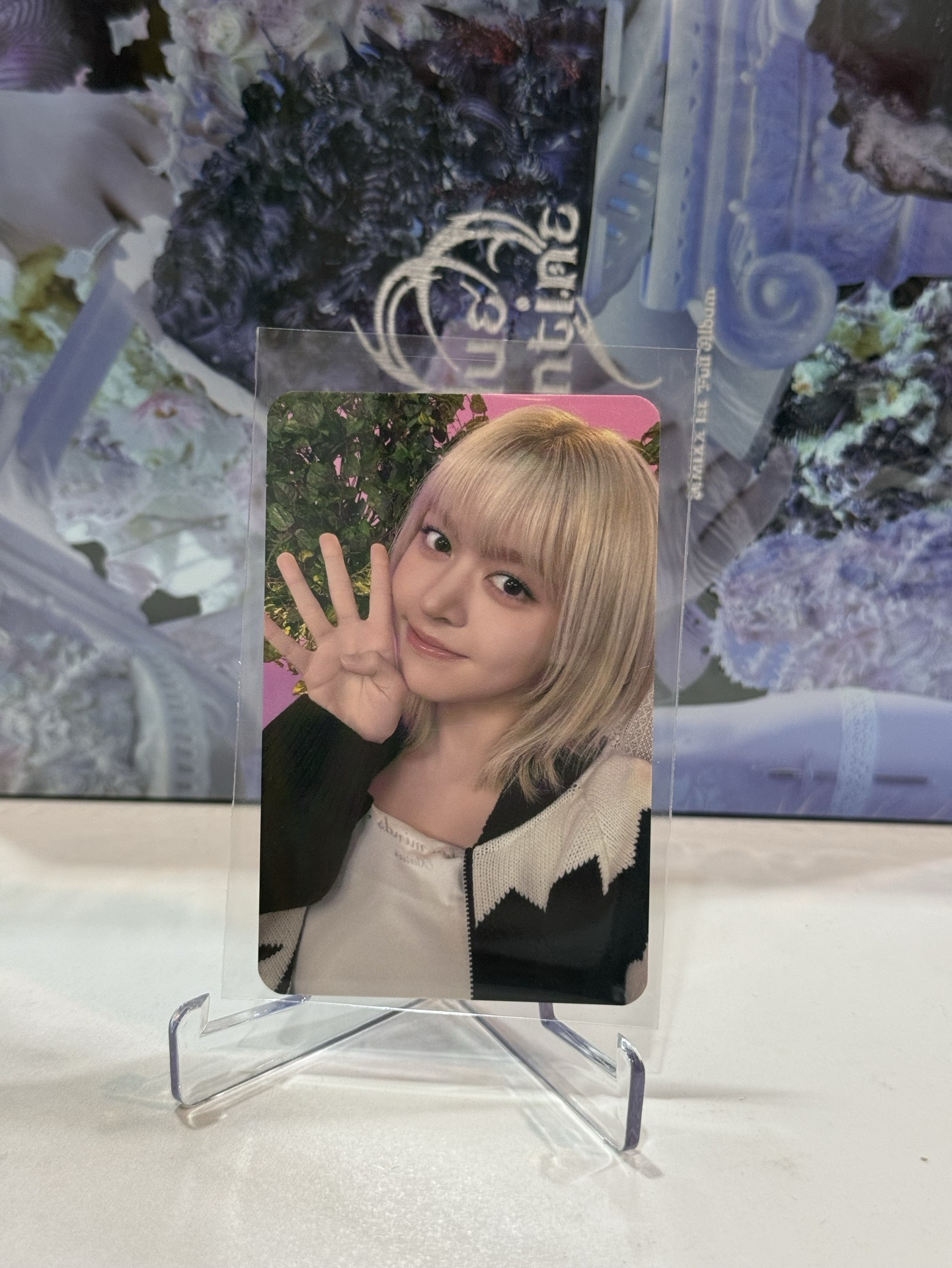 🌟現貨🌟四週年莉