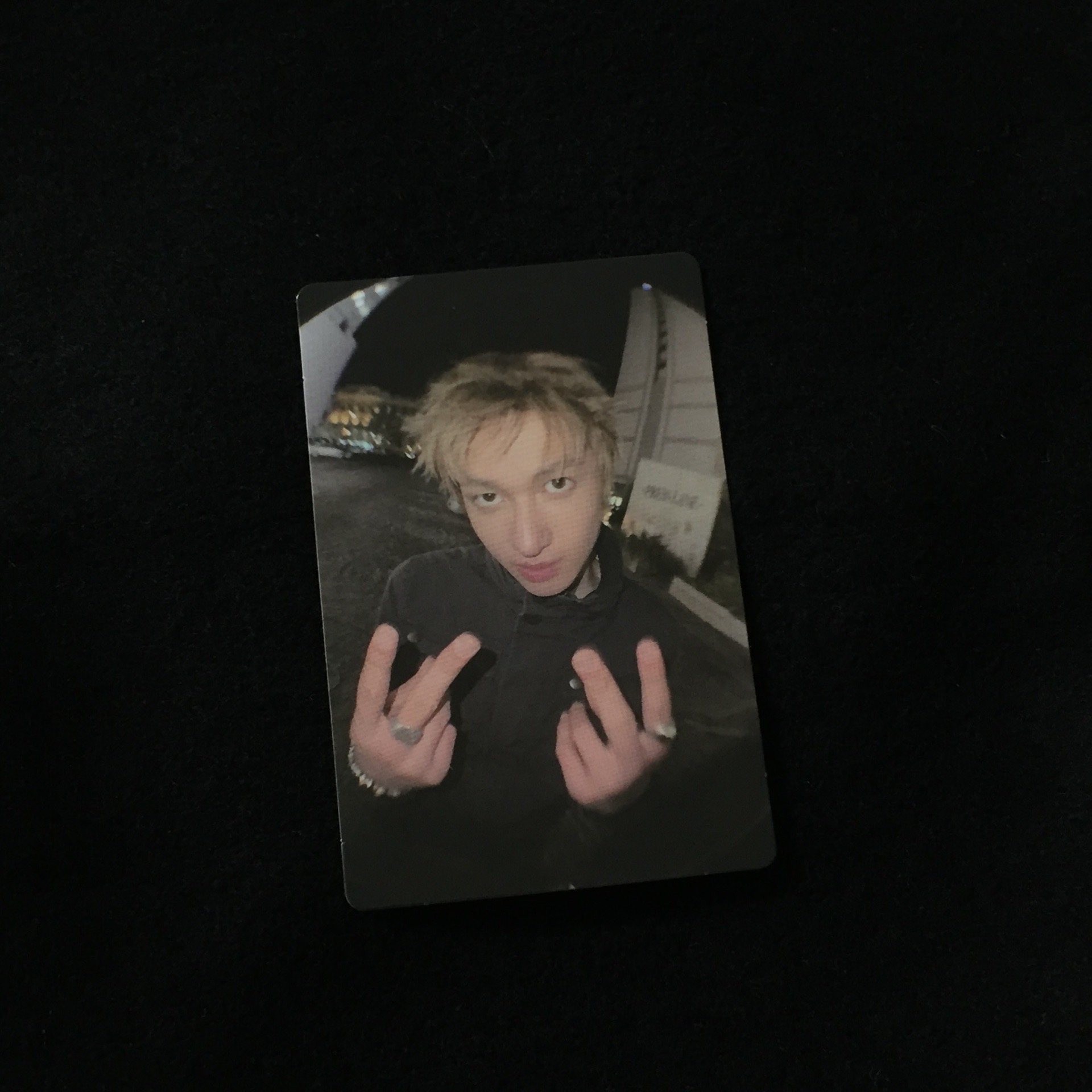 cortis nara 魚眼馬丁