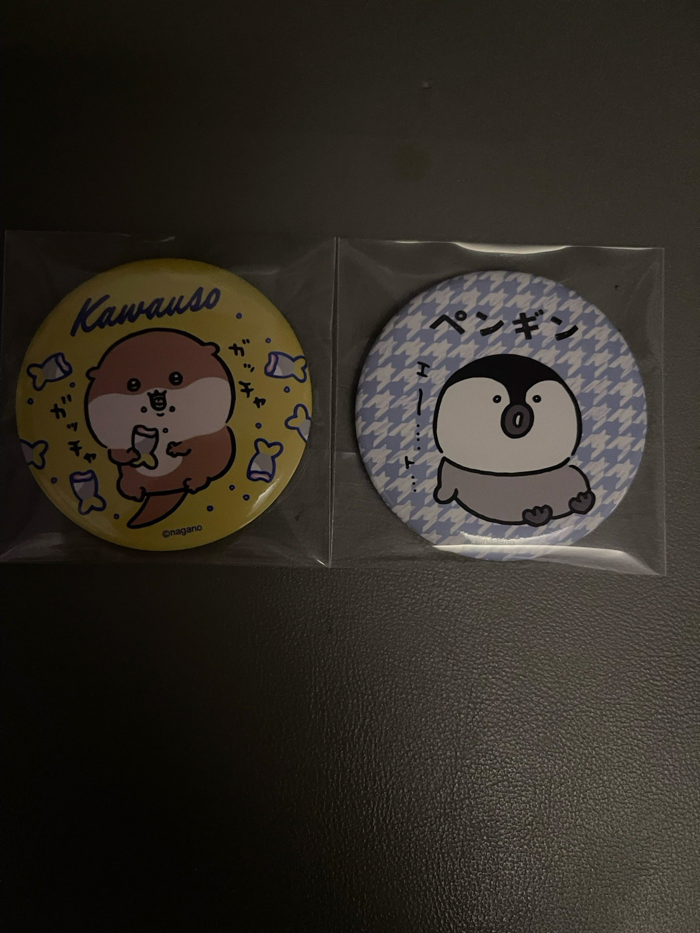 Nagano 水族館系列徽章