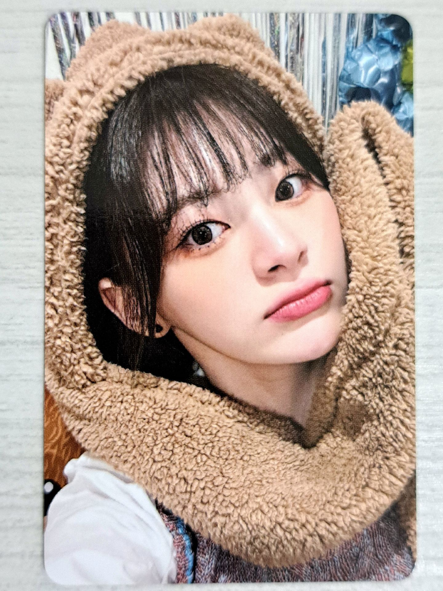 Teddy bear wm 2.0 簽售卡 小熊森