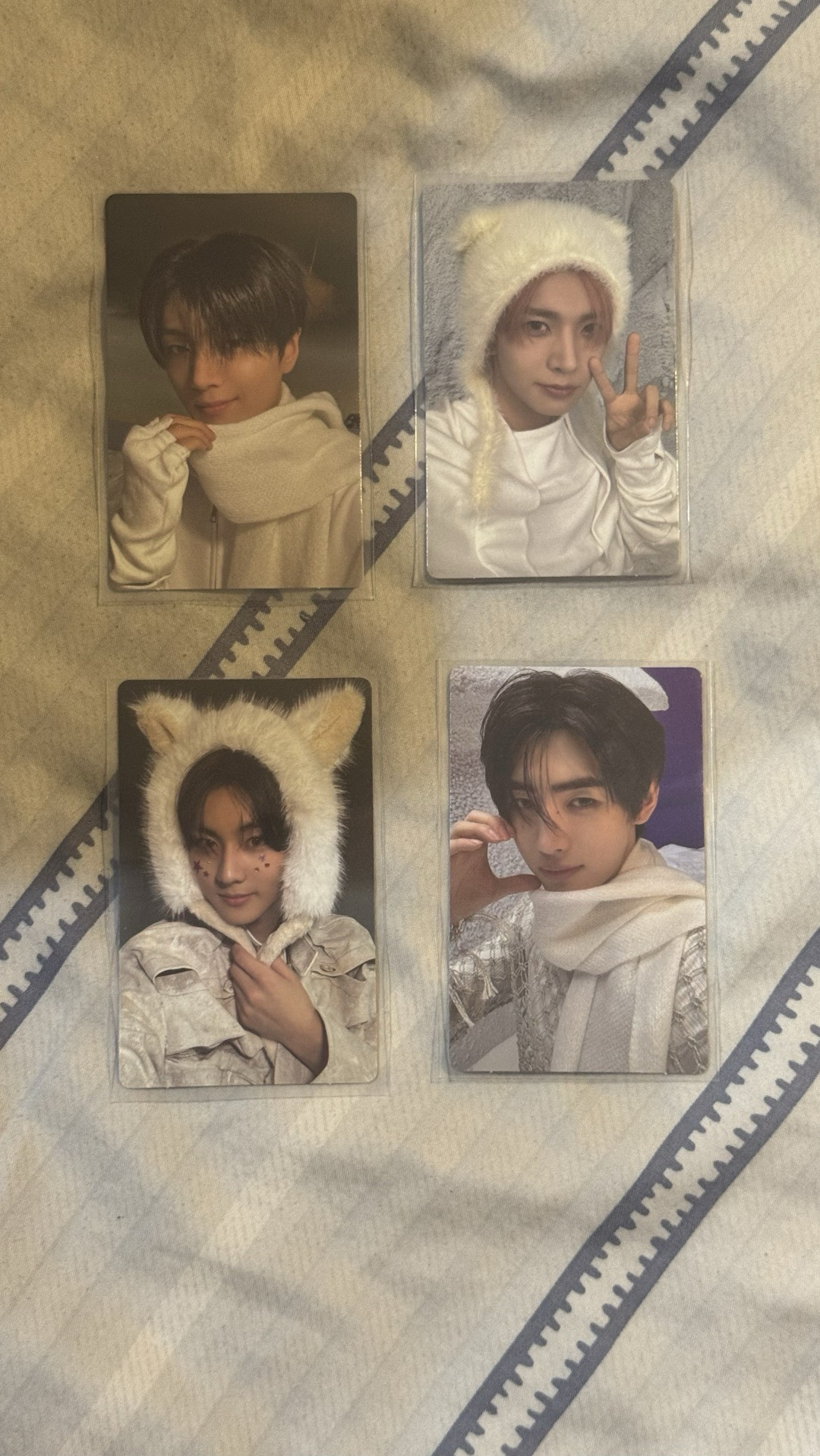 正二後續 wvs 特典 小卡+立牌+資料夾