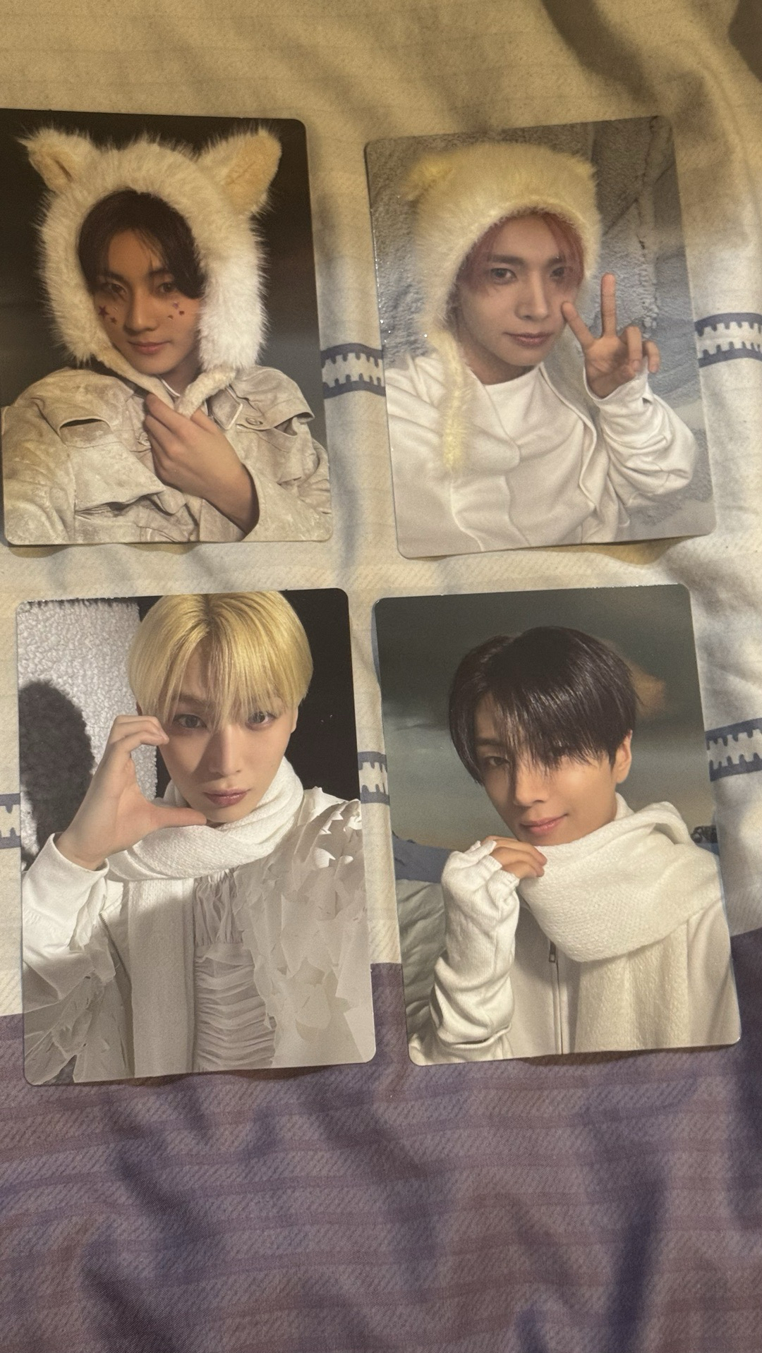 正二後續 wvs 特典 小卡+立牌