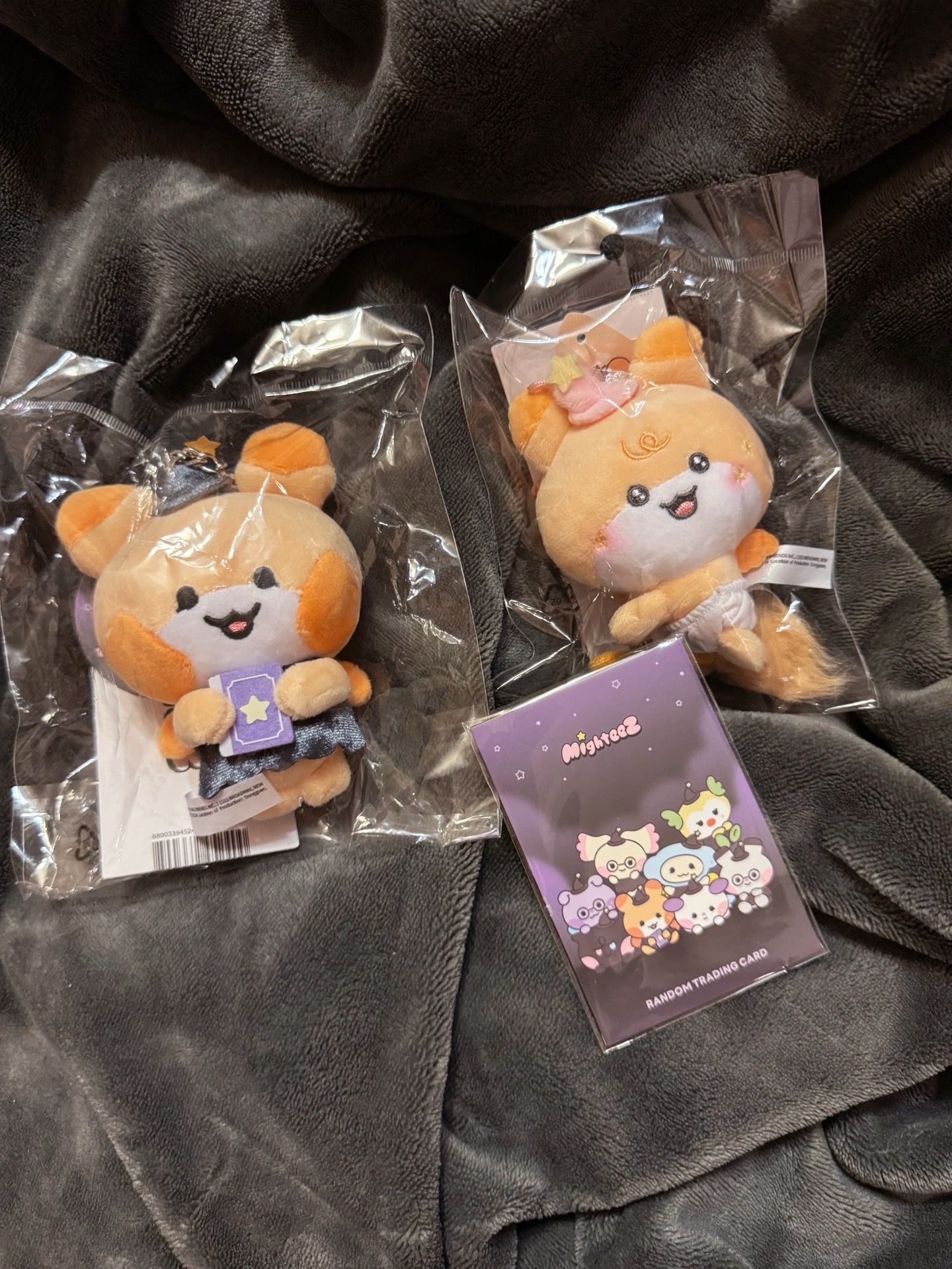 娃娃有現貨🫡 Mighteez 弘呦/弘中 掃帚寶寶娃/魔法學院學生娃/隨機卡包