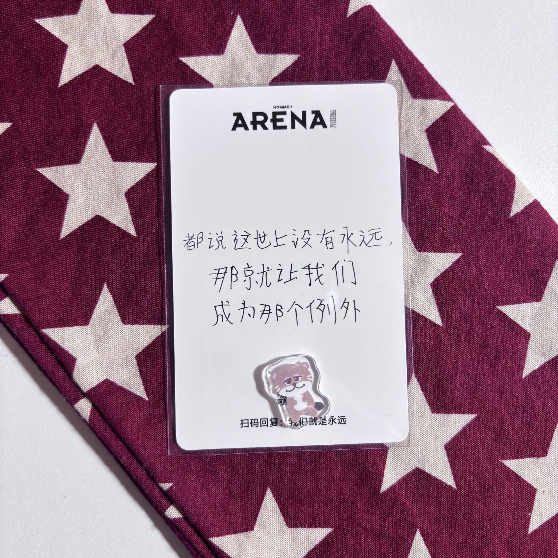 Arena 雜誌卡 燦 ⋆.˚⊹⁺