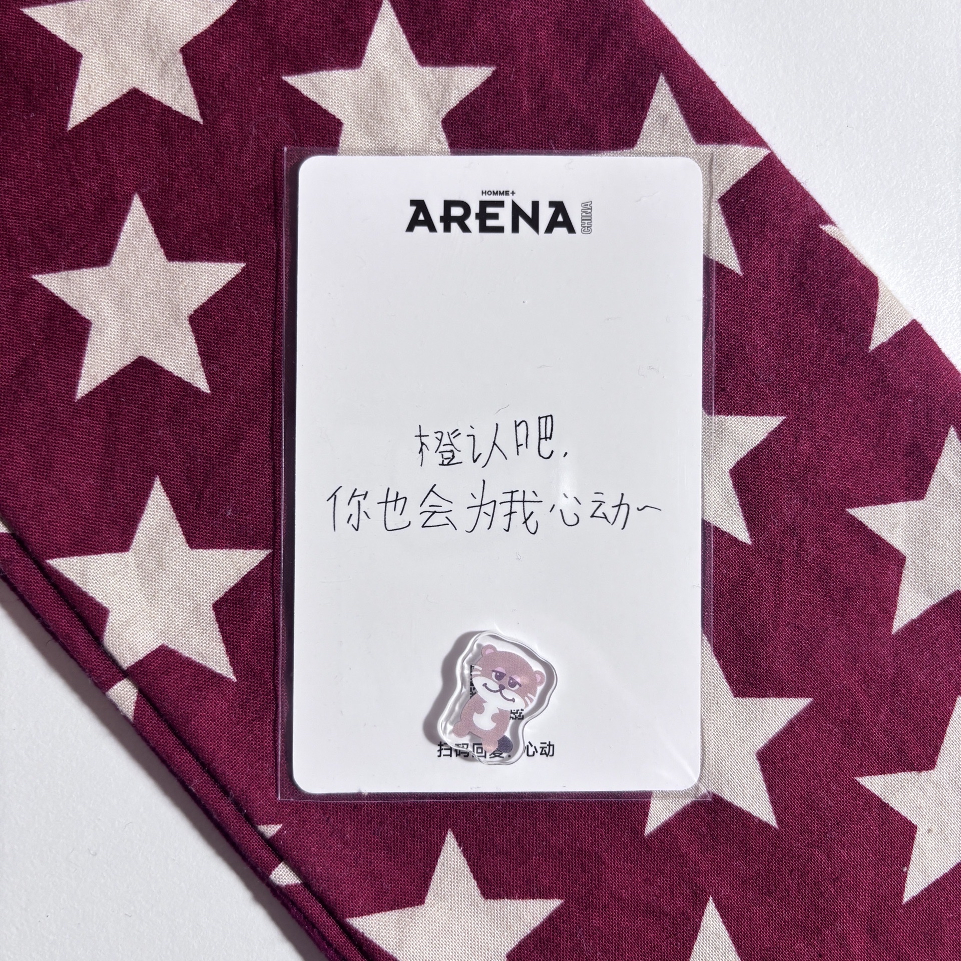 Arena 雜誌卡 燦 ⋆.˚⊹⁺