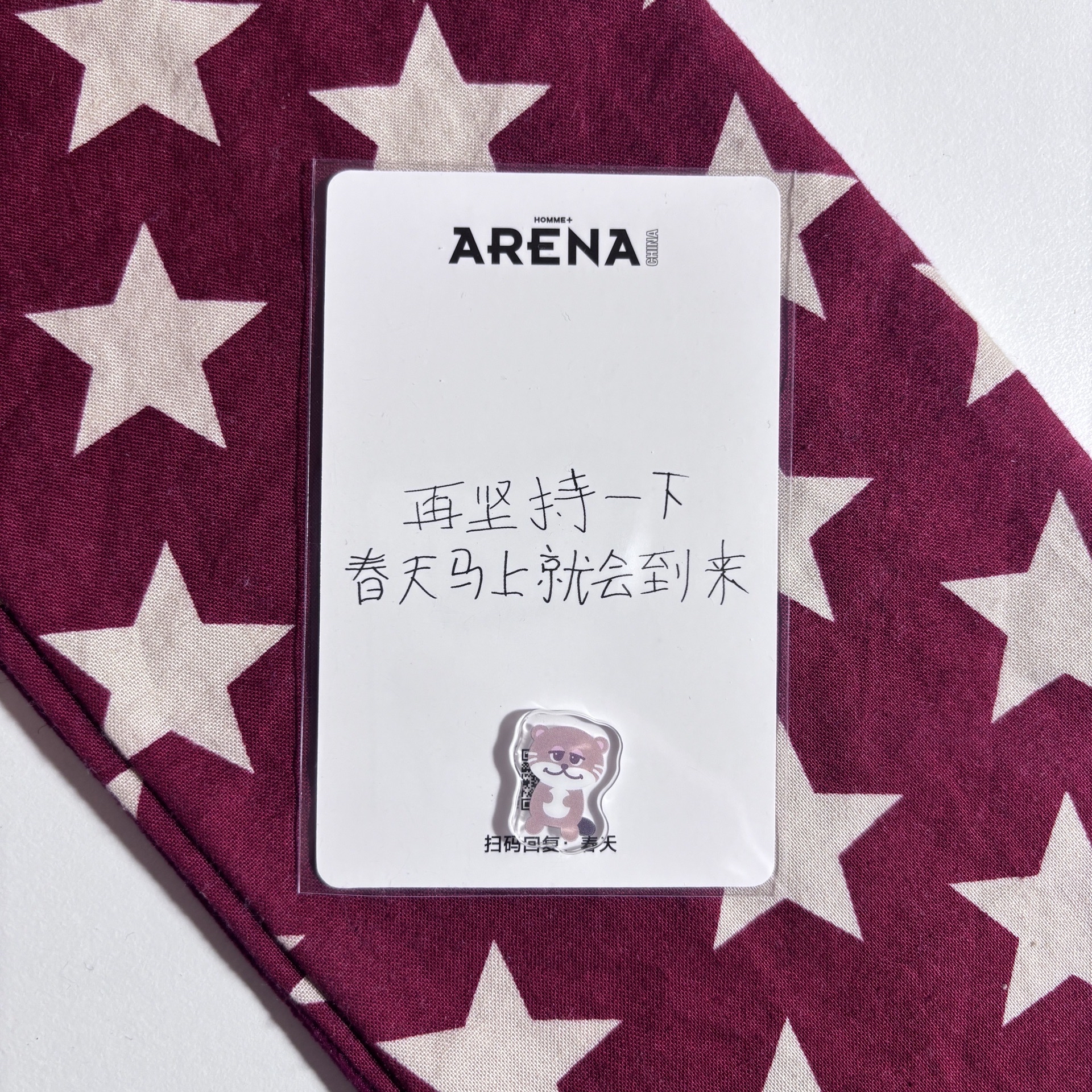 Arena 雜誌卡 燦 ⋆.˚⊹⁺