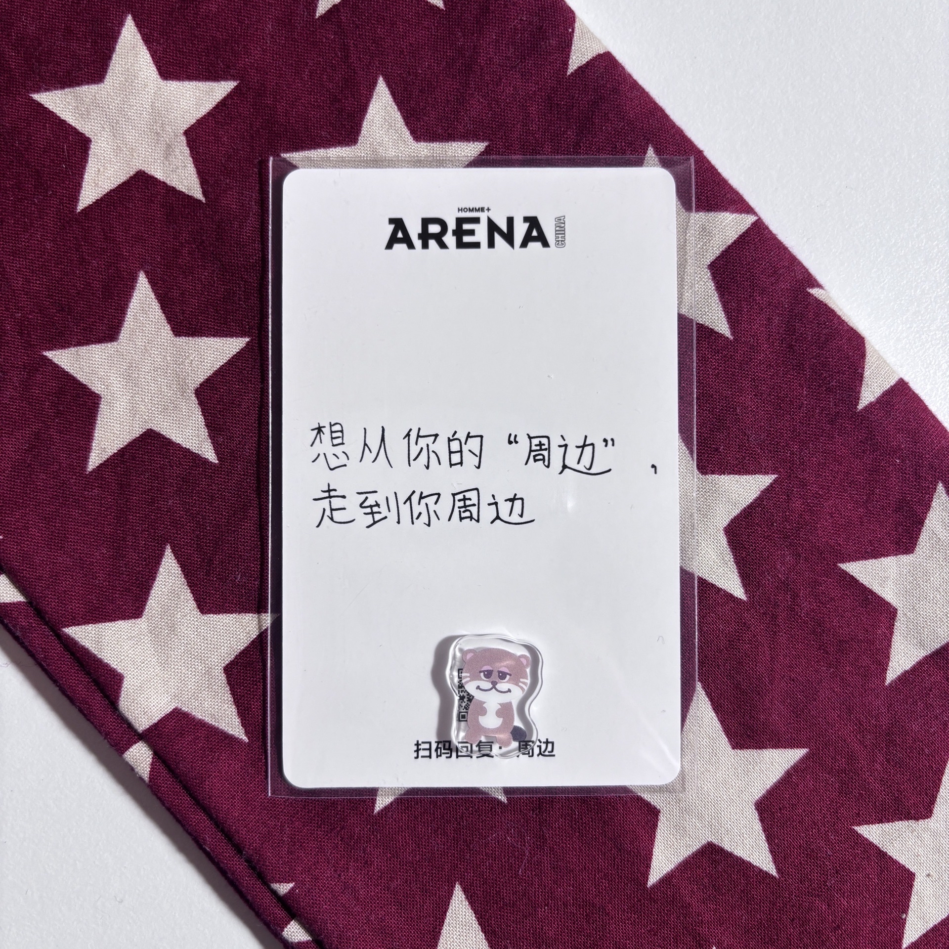 Arena 雜誌 小卡 彬 ⋆.˚⊹⁺