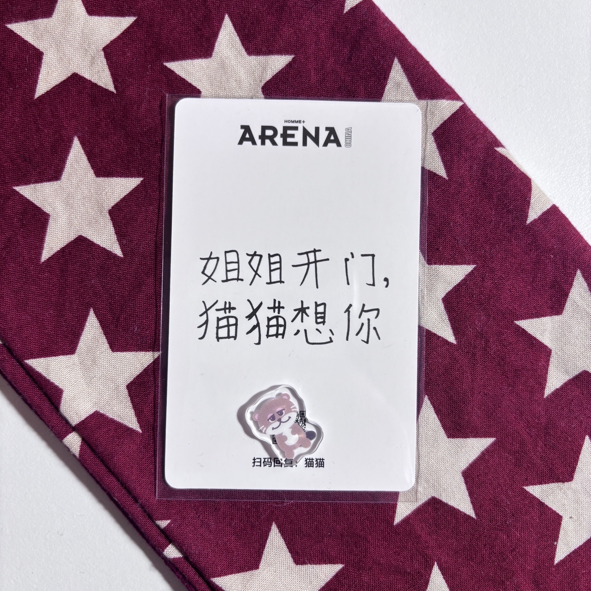 Arena 雜誌 小卡 彬 ⋆.˚⊹⁺