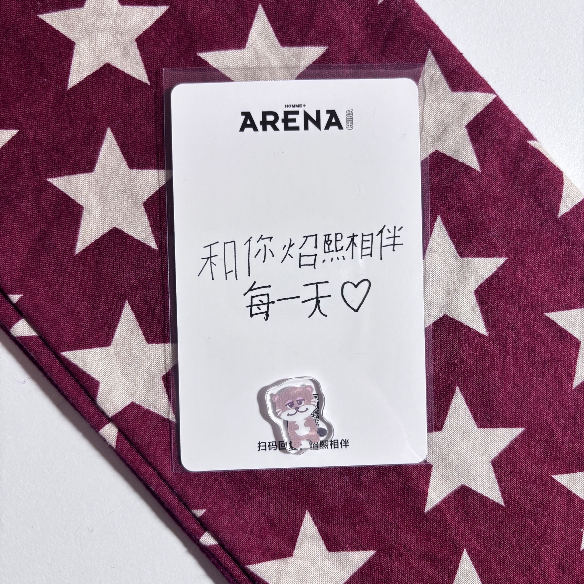 Arena 雜誌 小卡 西 ⋆.˚⊹⁺