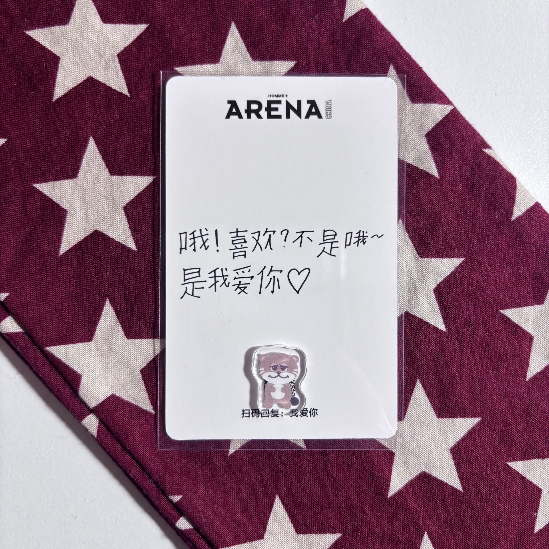 Arena 雜誌 小卡 西 ⋆.˚⊹⁺