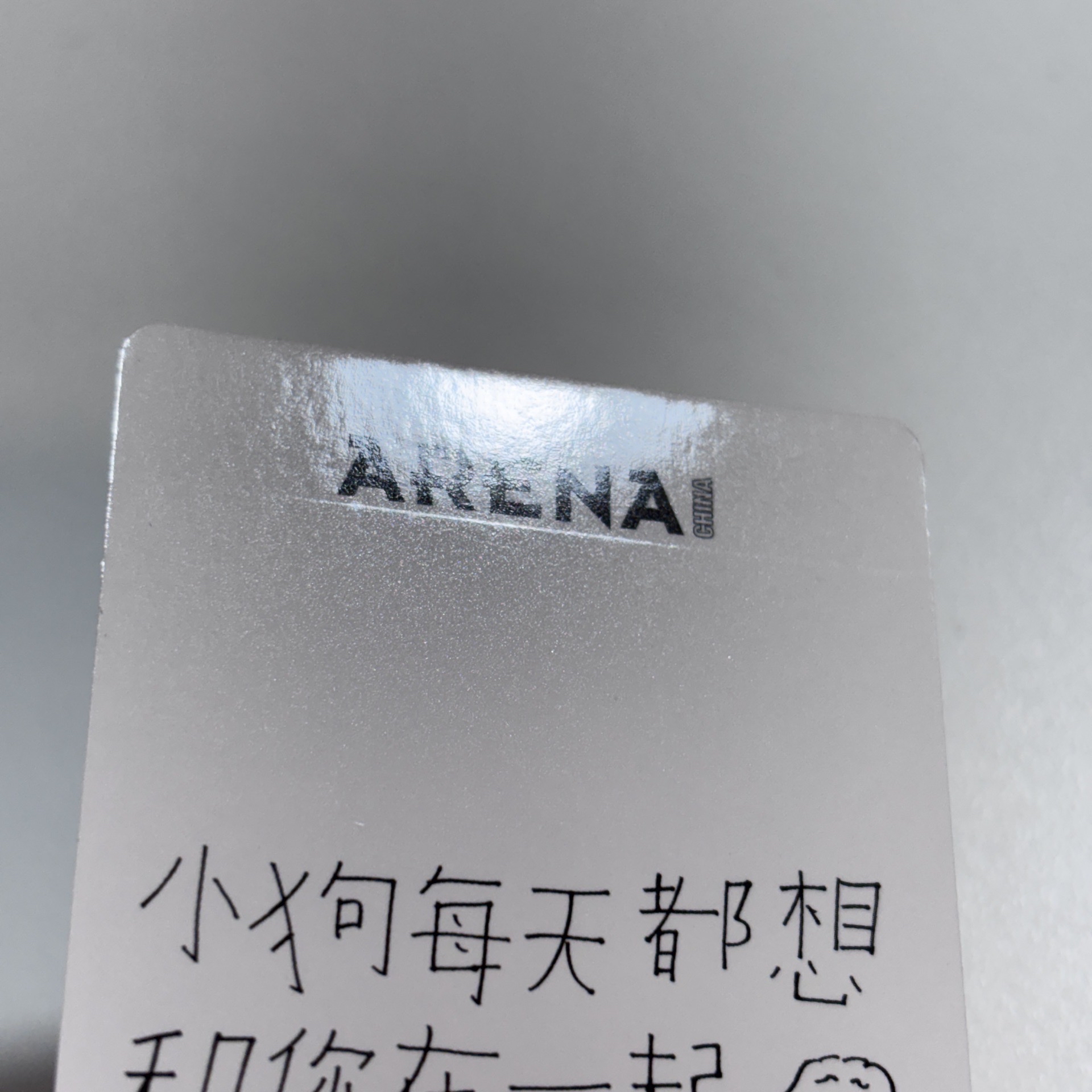 Arena 雜誌 小卡 西 ⋆.˚⊹⁺