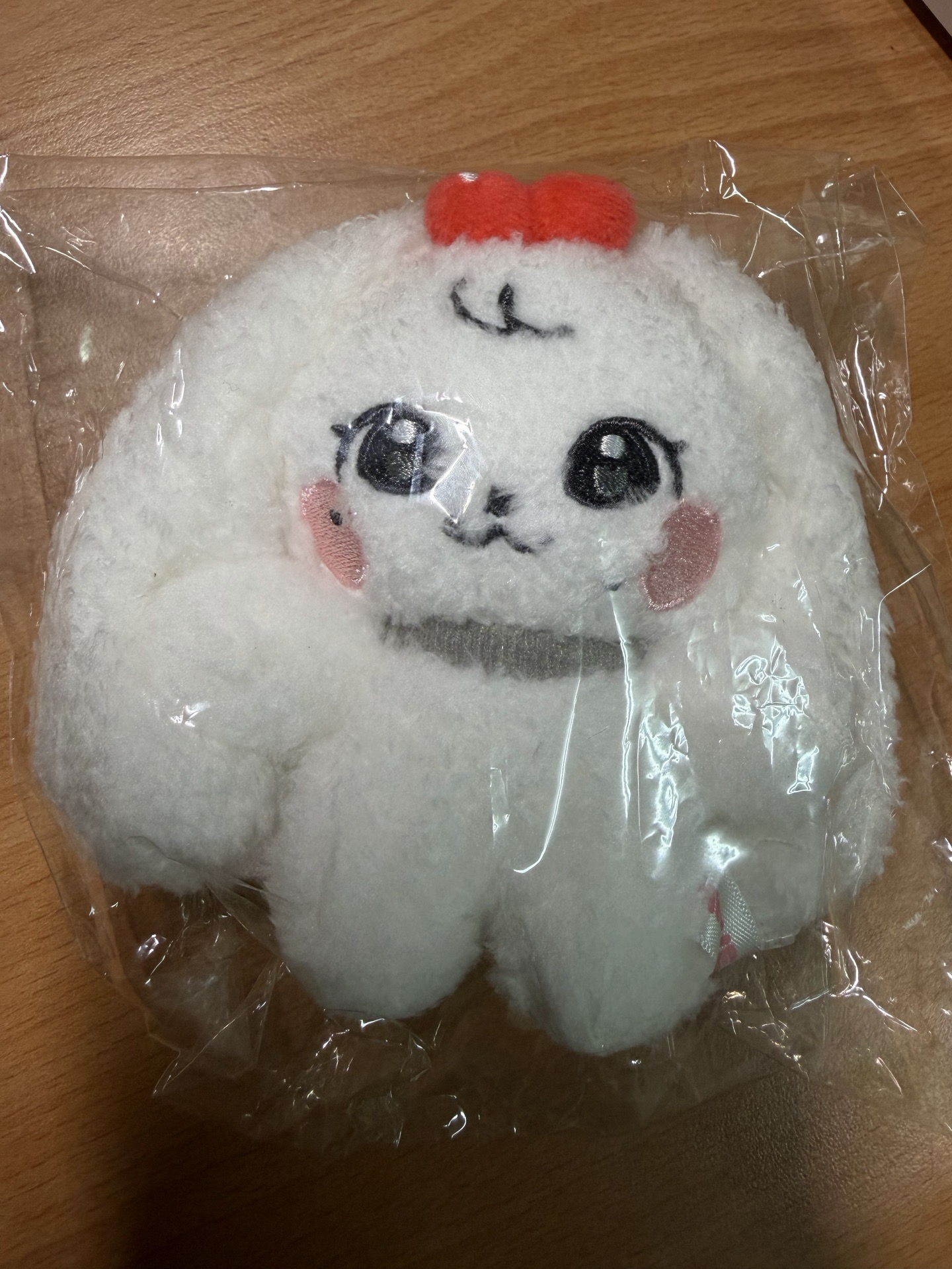 現貨當日出貨/MINIVE SCHOOL 吊娃 10cm plush keyring 全新