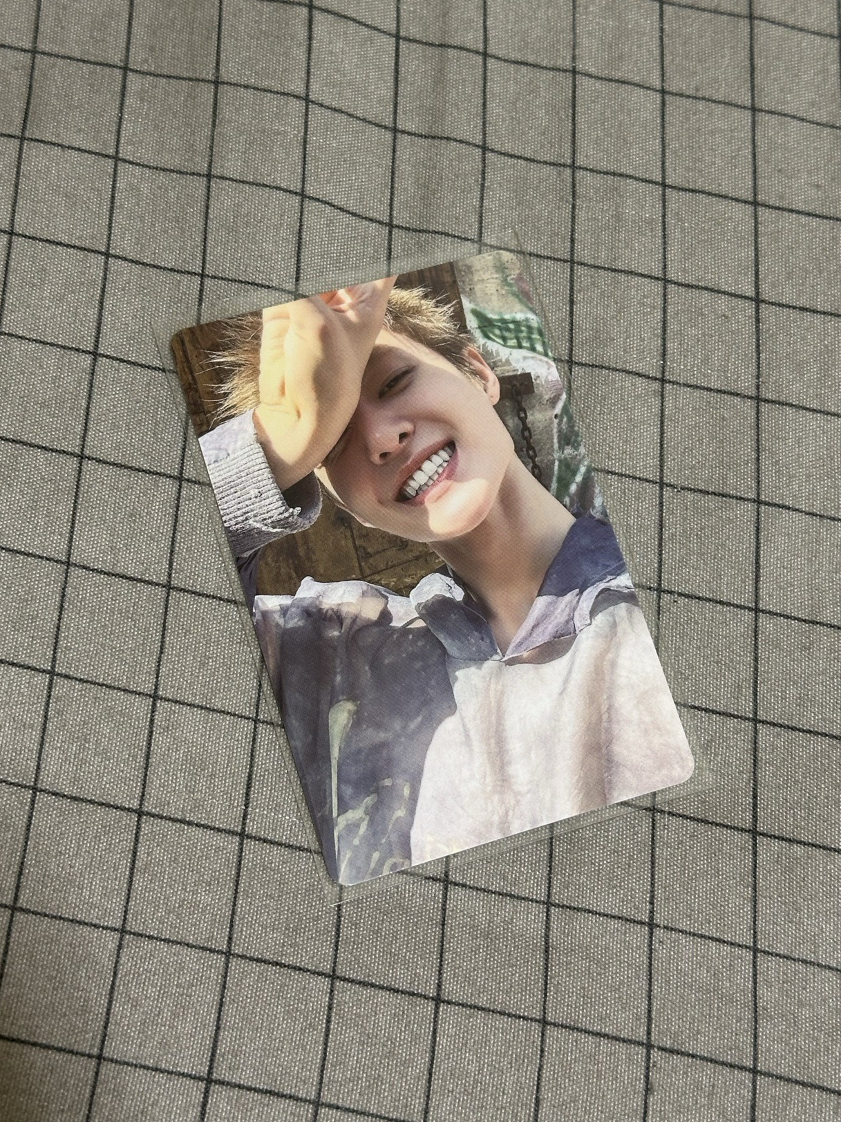 日咖特典 馬丁🐕‍🦺