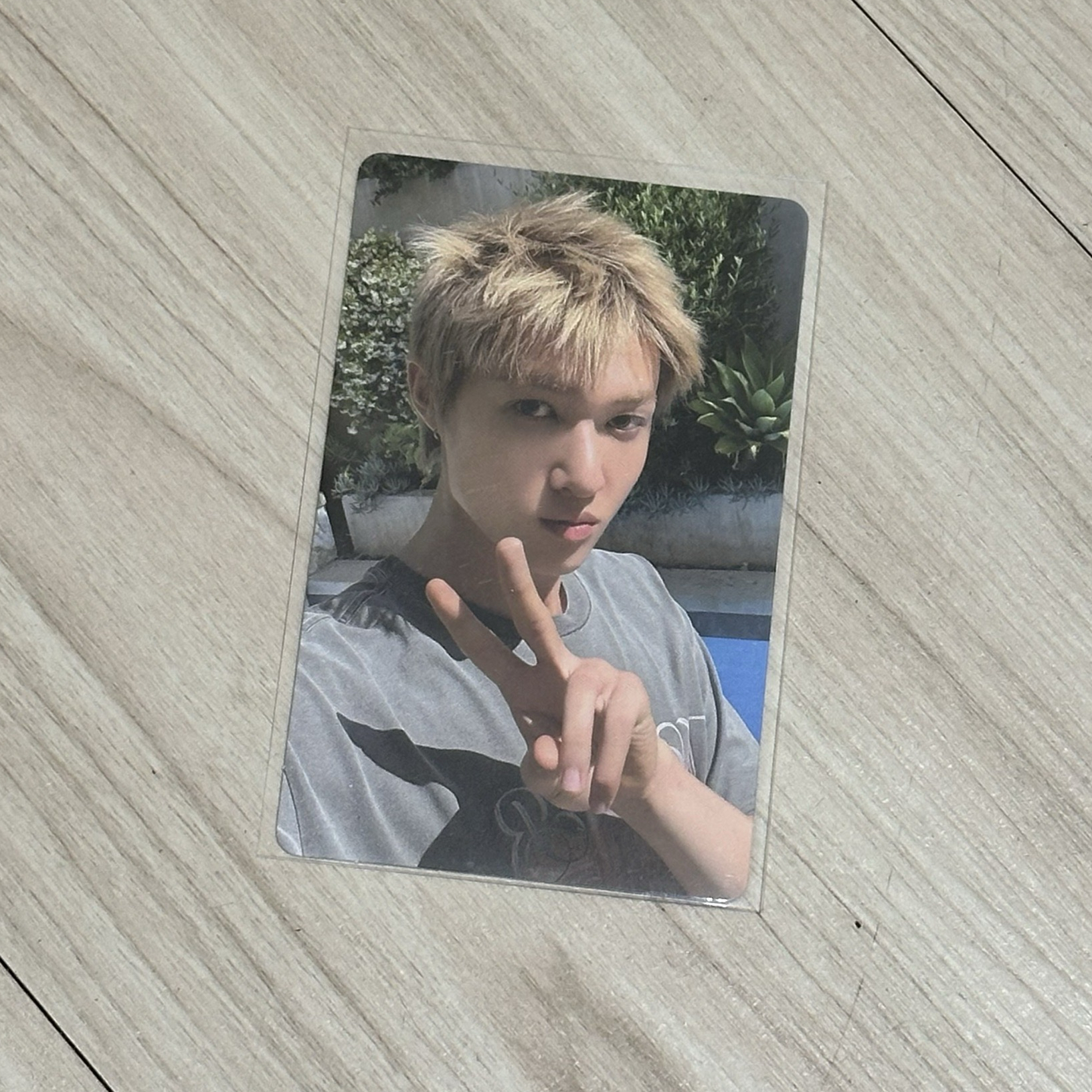 wvs B 直播卡 馬丁🐕‍🦺