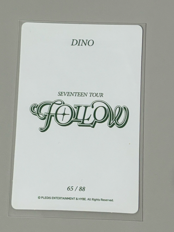 正五 專輯卡 SEUNGKWAN+FOLLOW隨機卡 DINO