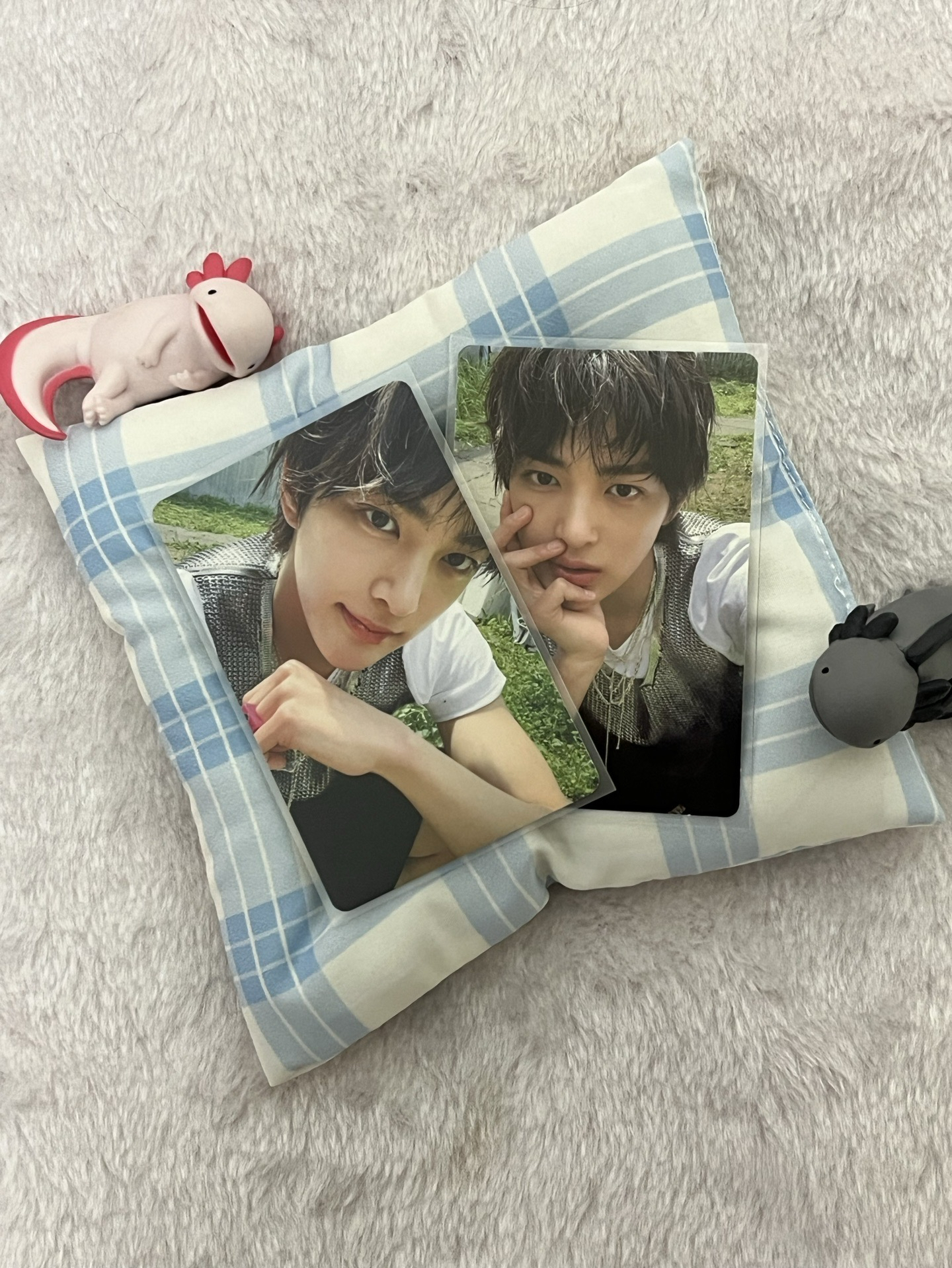 挑染安小鎬組合（附贈🎁）