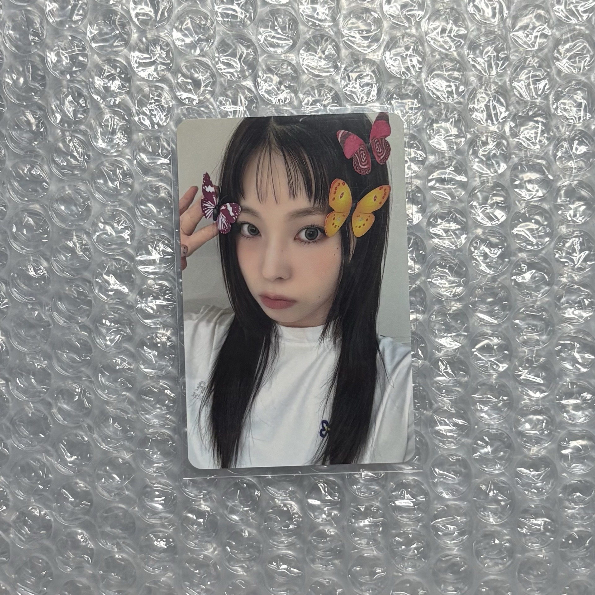 Nmixx kyujin ms蝴蝶圭