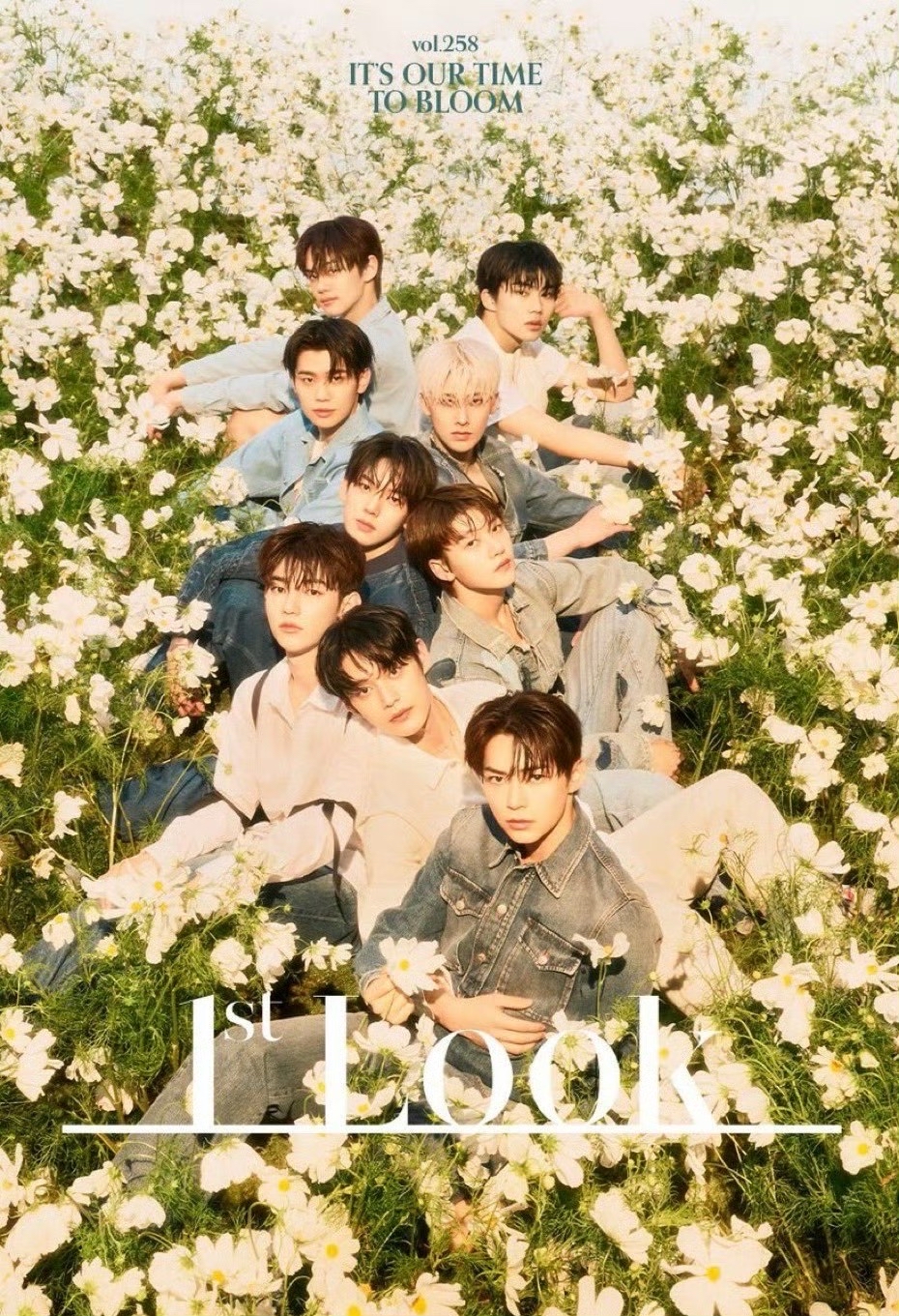 1st Look Vol.258