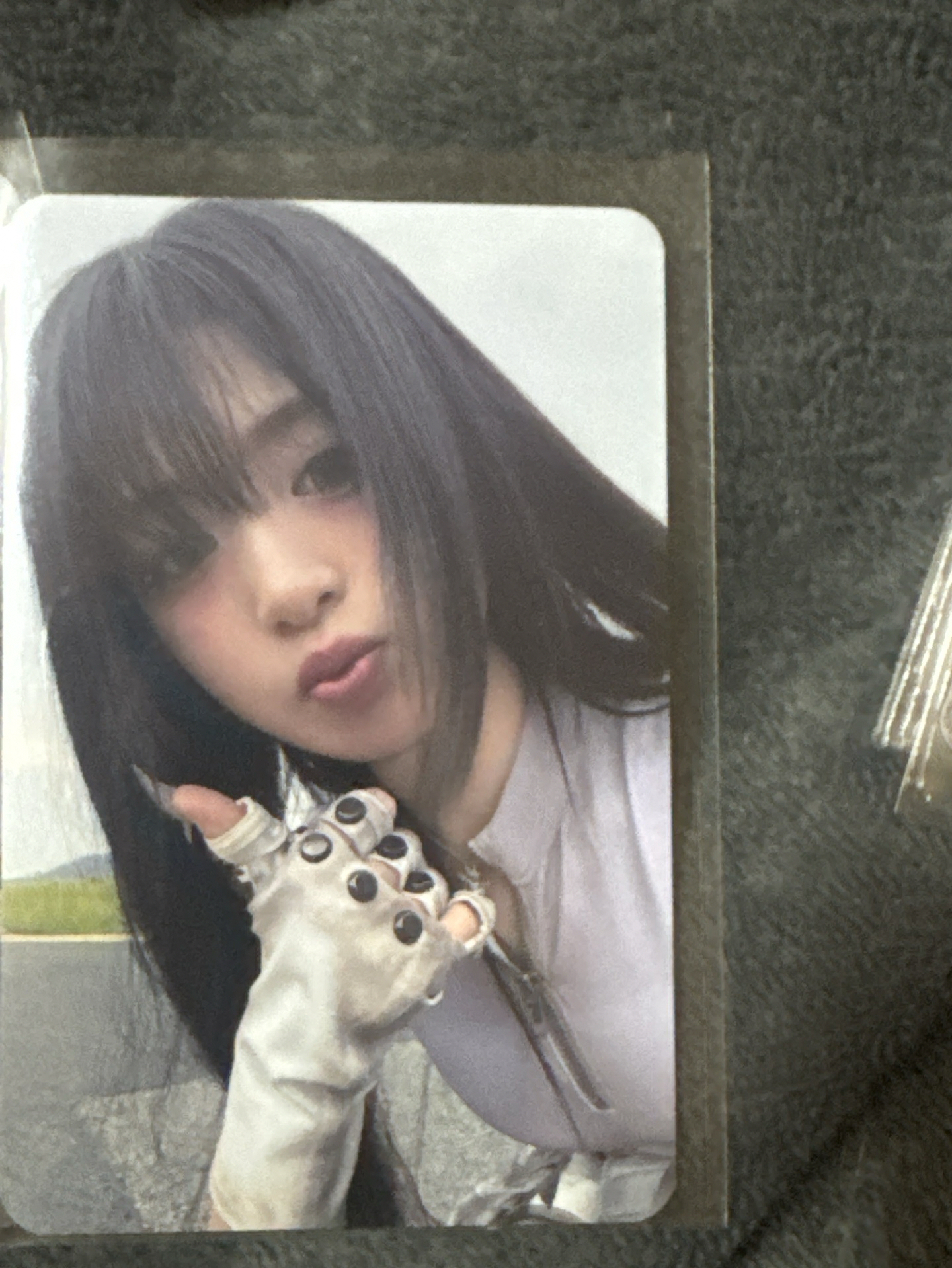 白衣賢 含一張綁