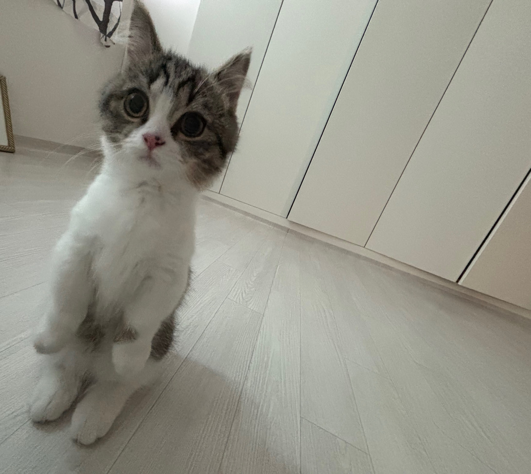 jun