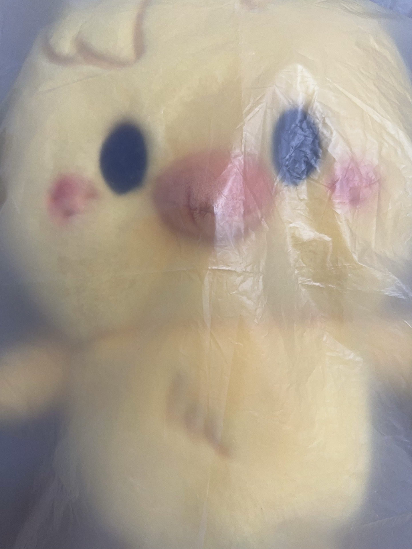 線下批次可速寄 全新現貨 6th FM 菲 後背包