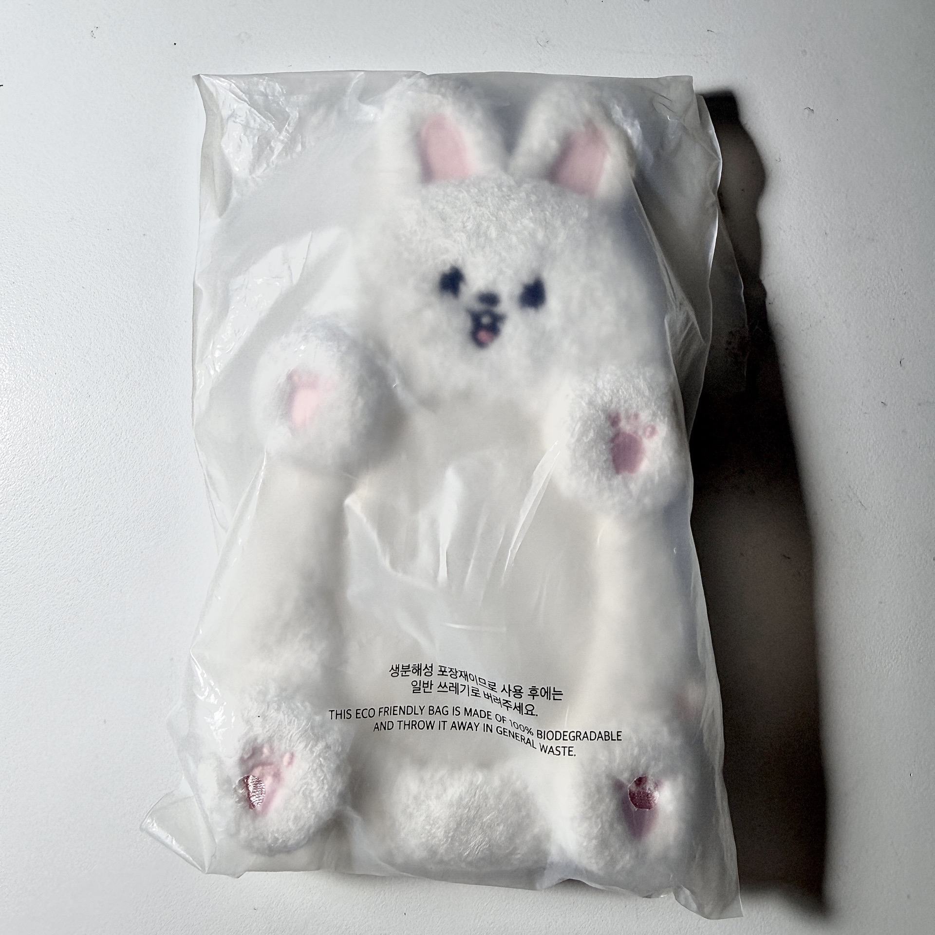 ⋆˚ STRAYKIDS ˖° —— Leebit 卡套