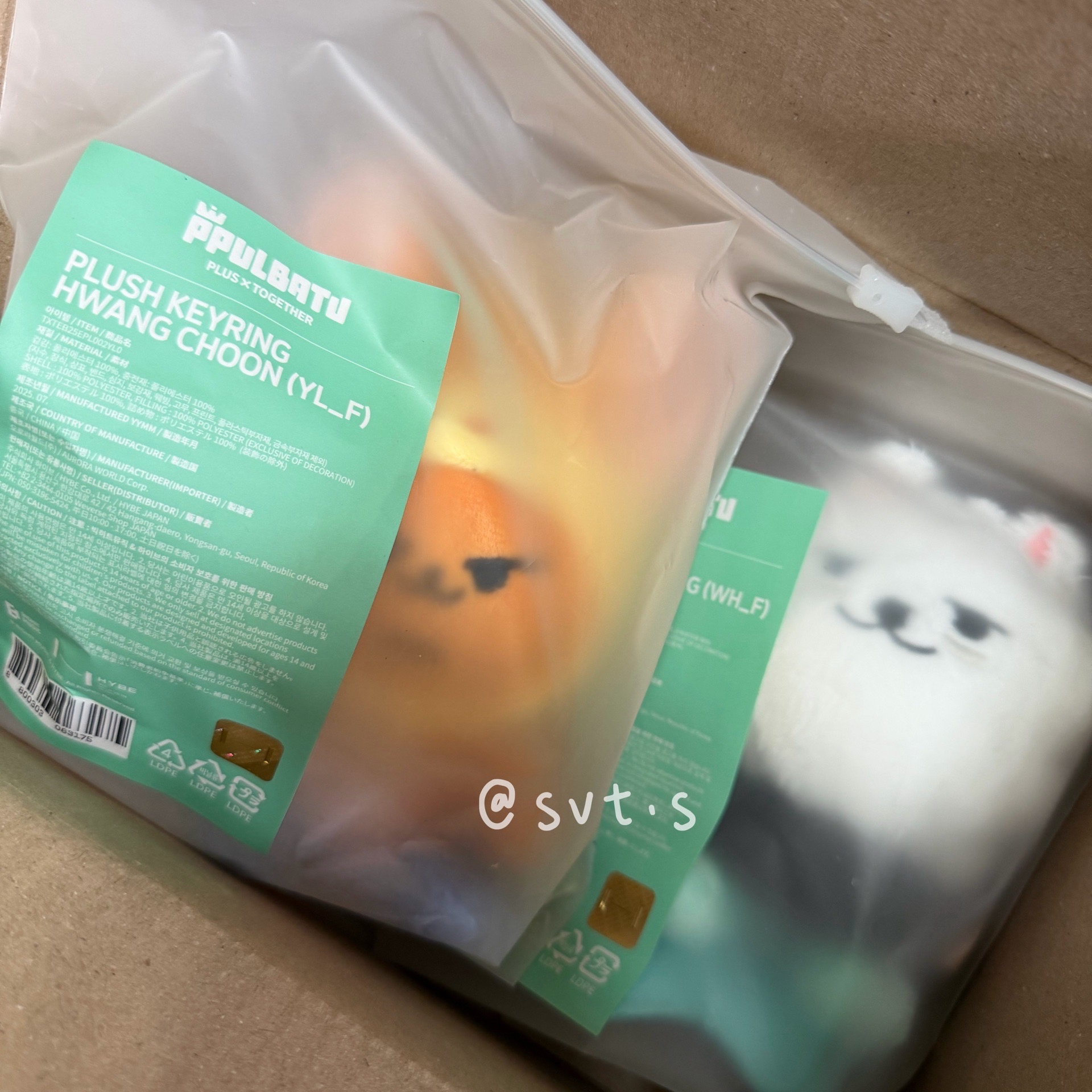 全新現貨🍀 FINDING MOA 娃娃玩偶 崔勇猛 黃春 坐娃 