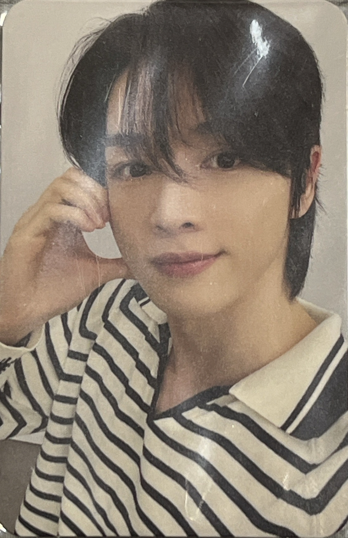 日會 會員禮卡 二期會刊 鄭成燦