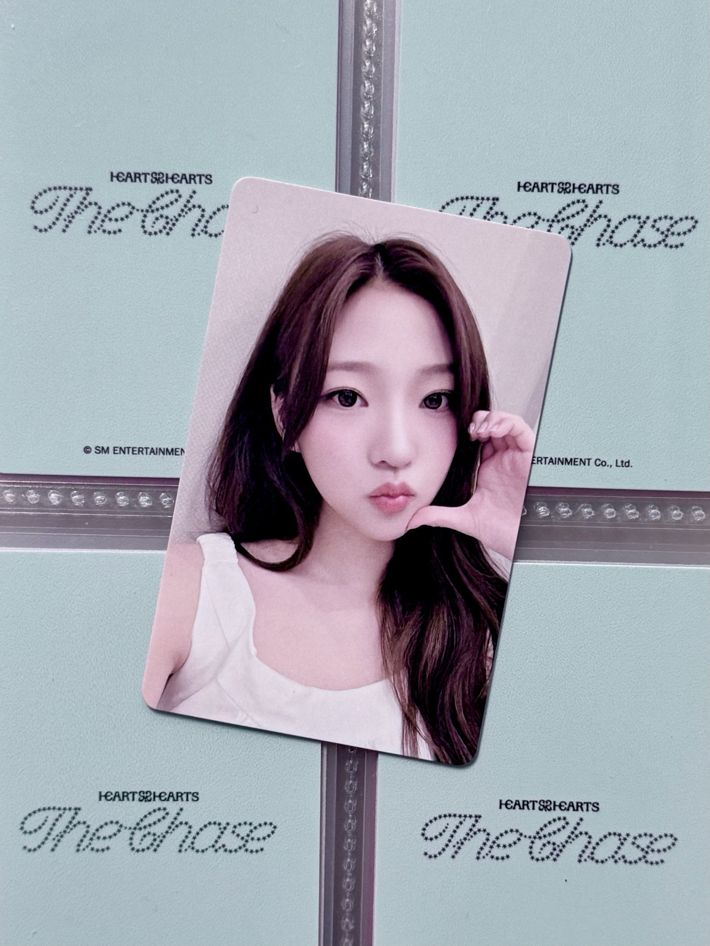 STELLA KMS杭州簽售卡