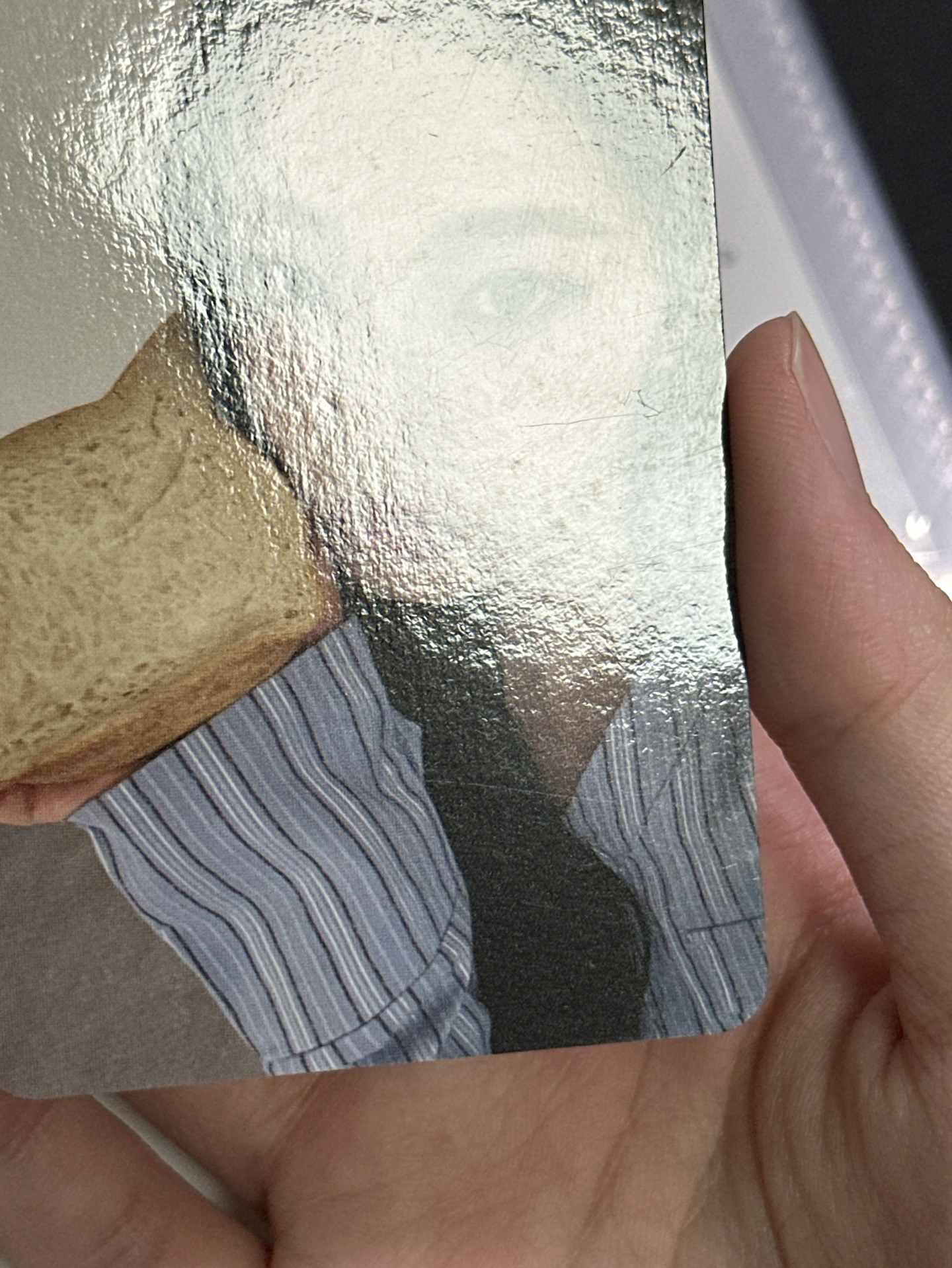 NMIXX ms簽售貓咪麵包圭