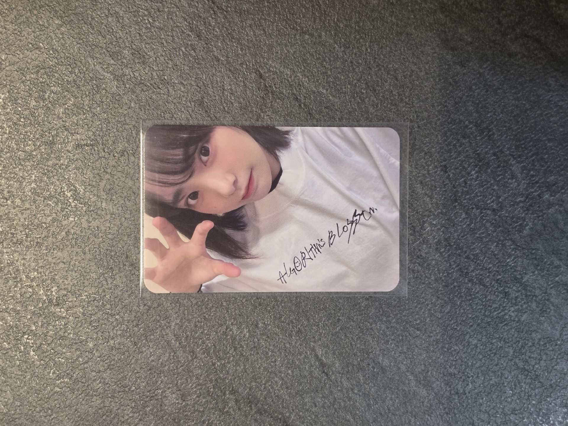 迷二快閃滿額燕