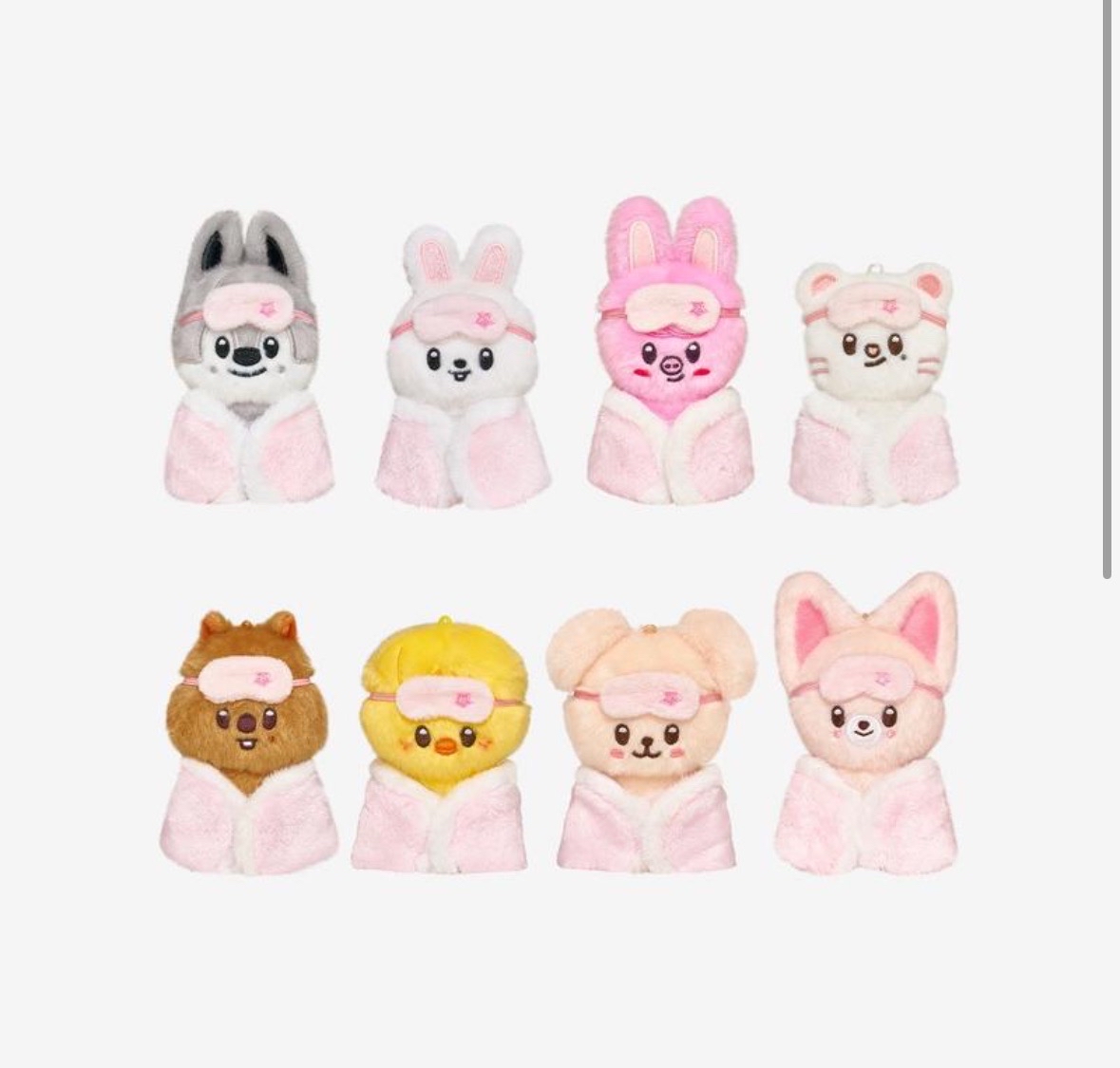 預購 SKZOO 六期飯咪 10公分娃