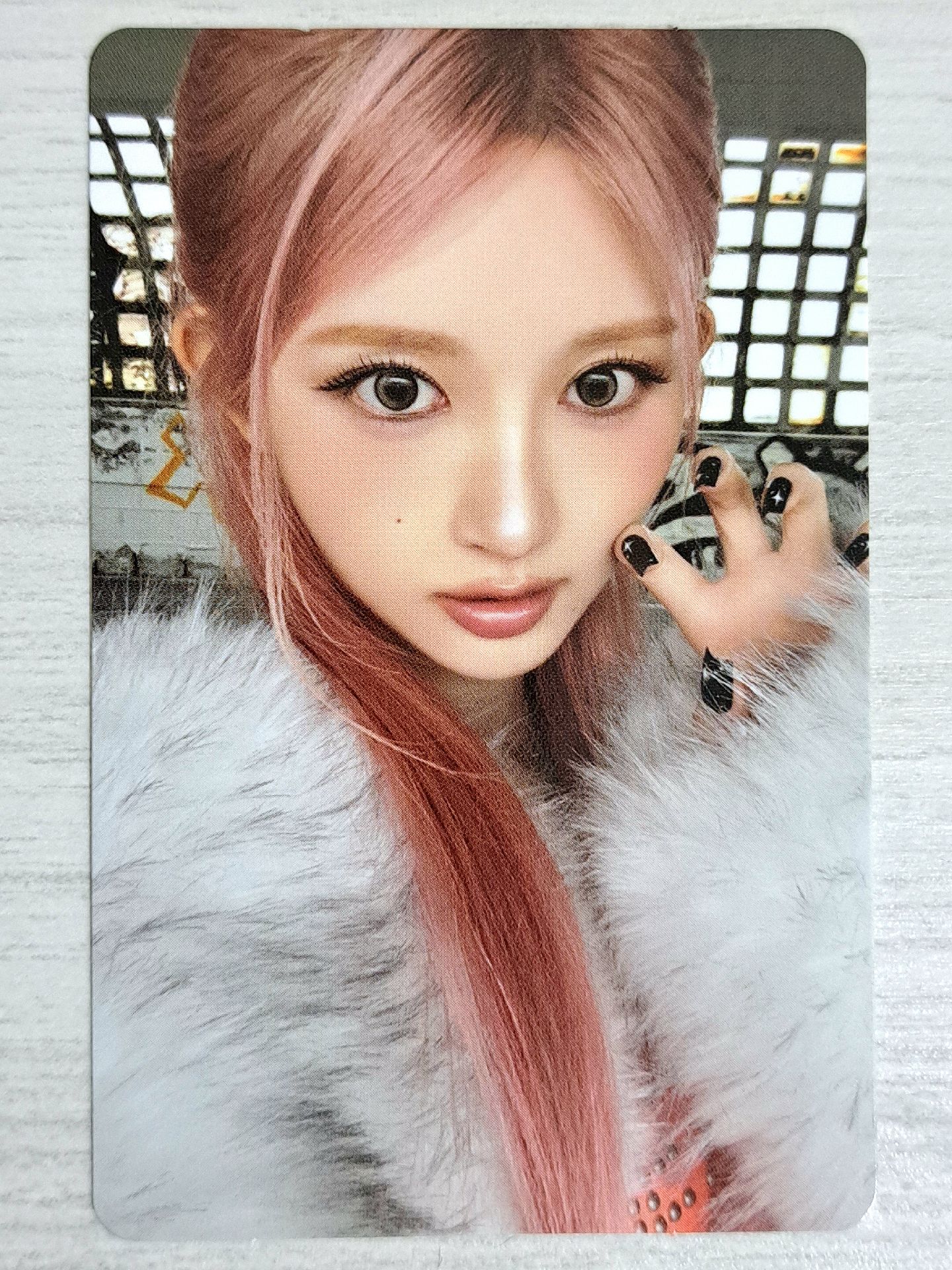 REVIVE+ 專輯卡 PETIT-IVE 秋