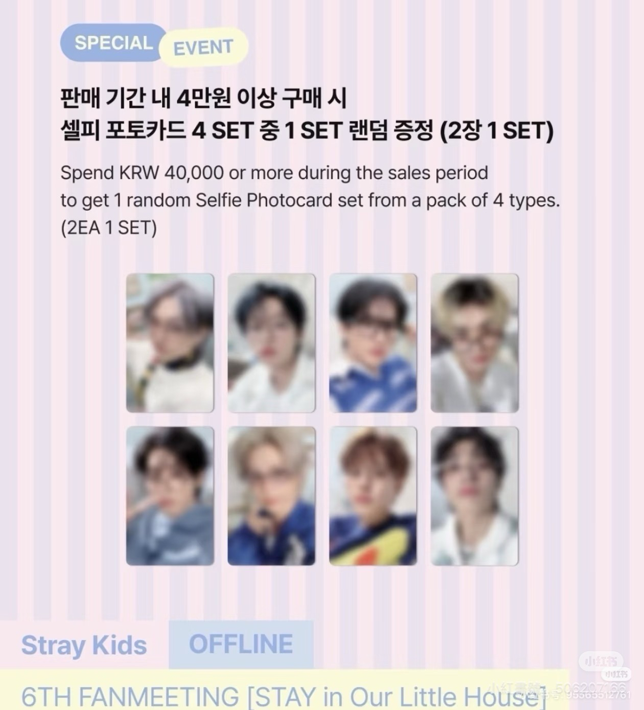 stray kids 6th 線下滿額卡送小動物紙花