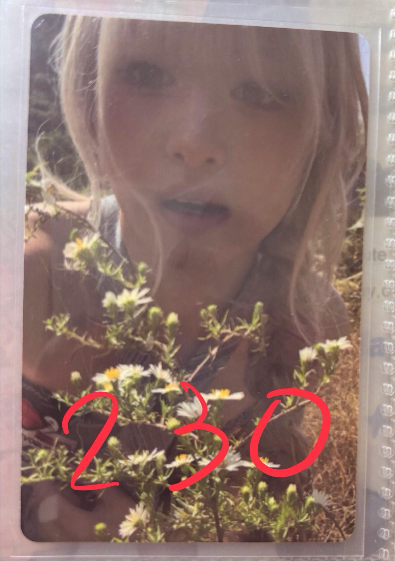 大花賢豐草