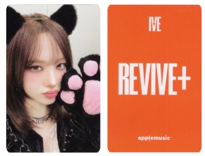 小咪專屬賣場🌰🤍