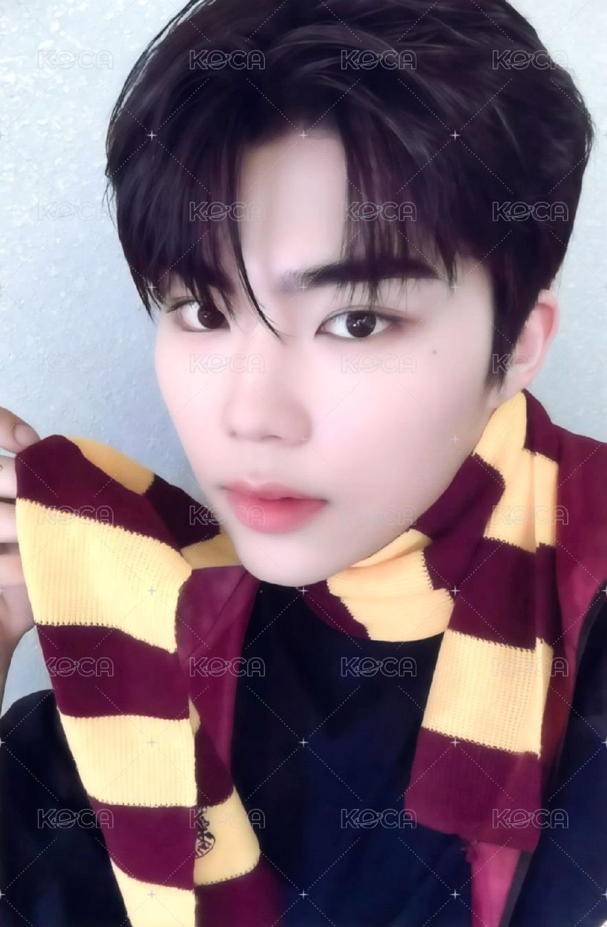 zb1 迷二特典 旭