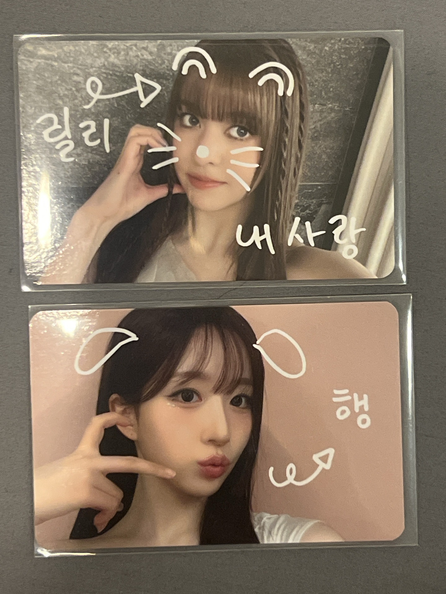 ms5.0 寵物鏡頭 莉嫄