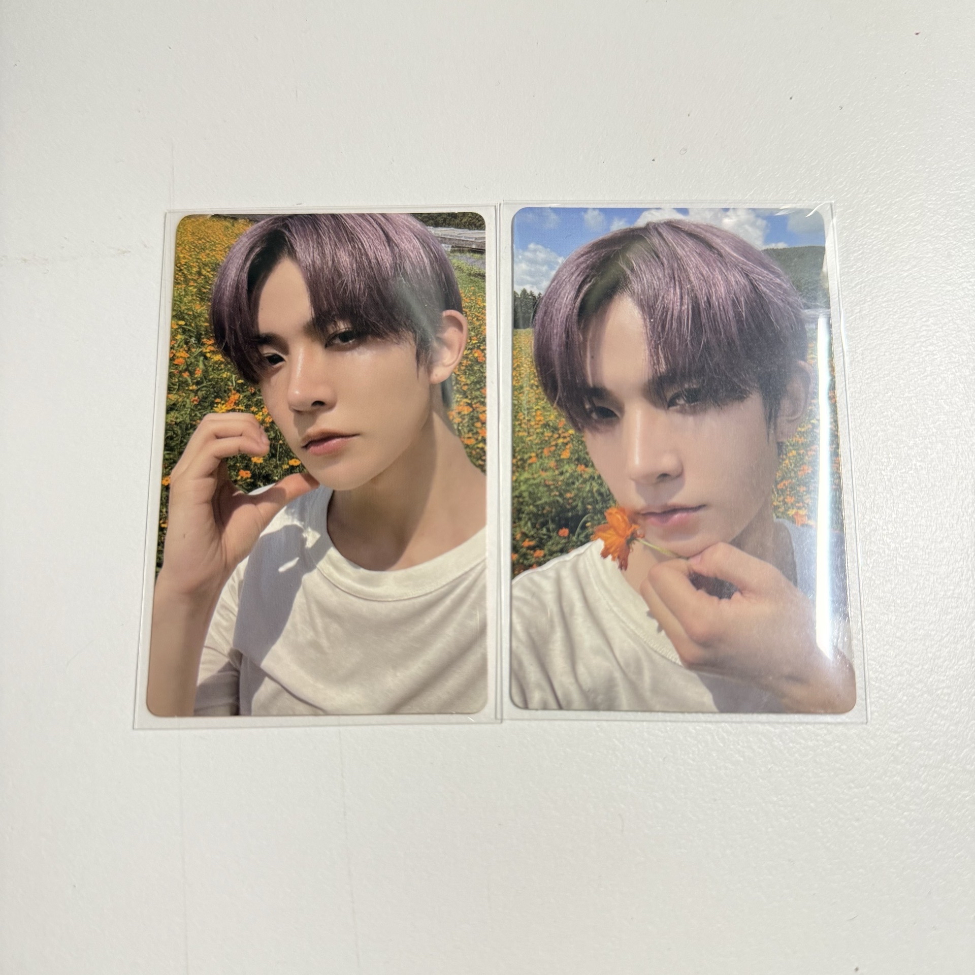 ORANGE BLOOD電子專隨機卡 羲承