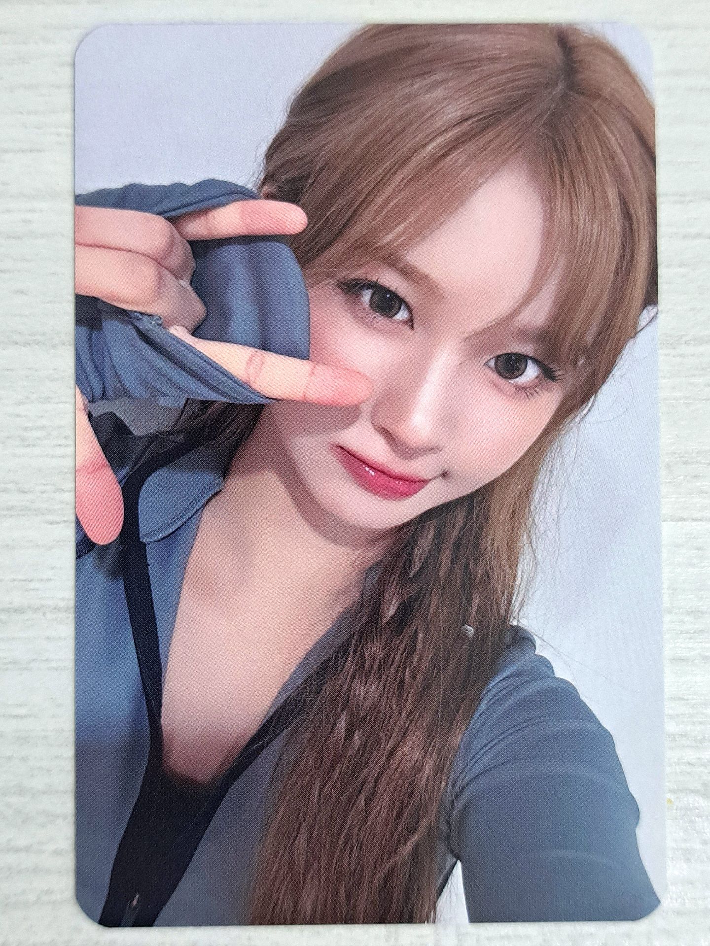 正規一 ms 24.0 香港 簽售卡 薛