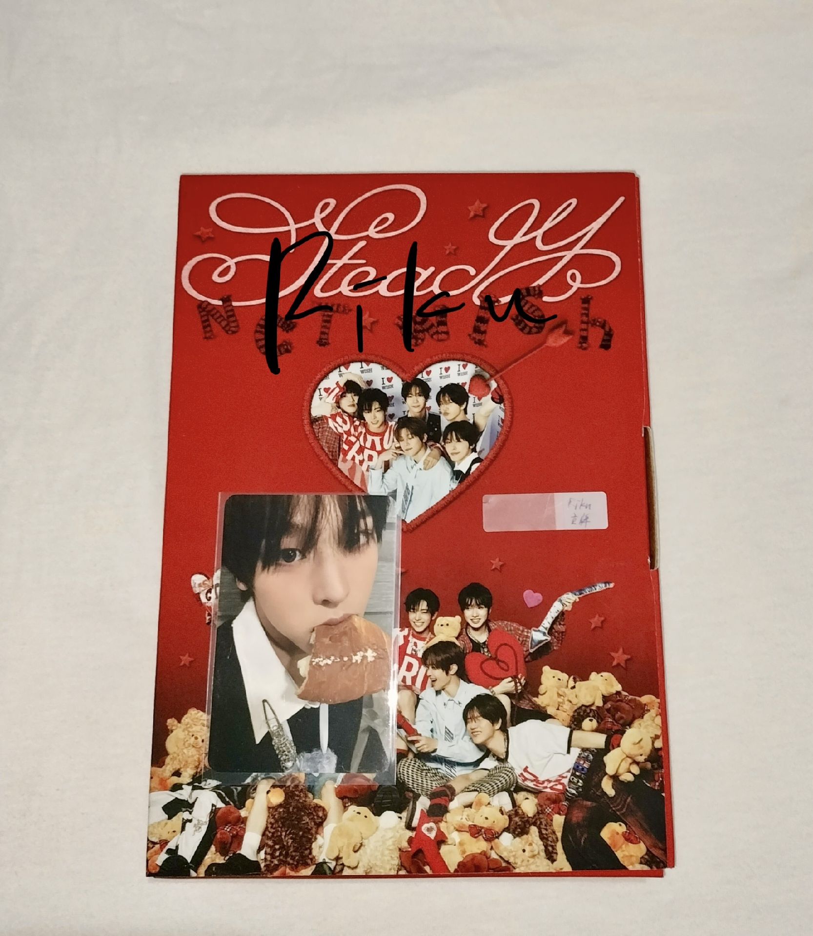 Steady🐈‍⬛陸全專