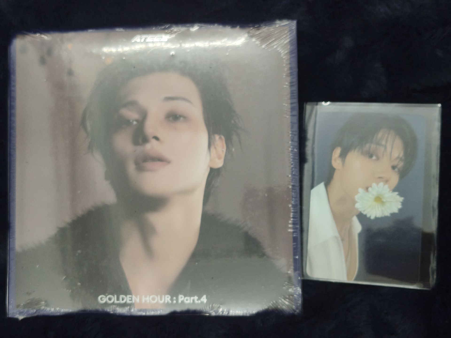 GH4 am🌼 榮特典