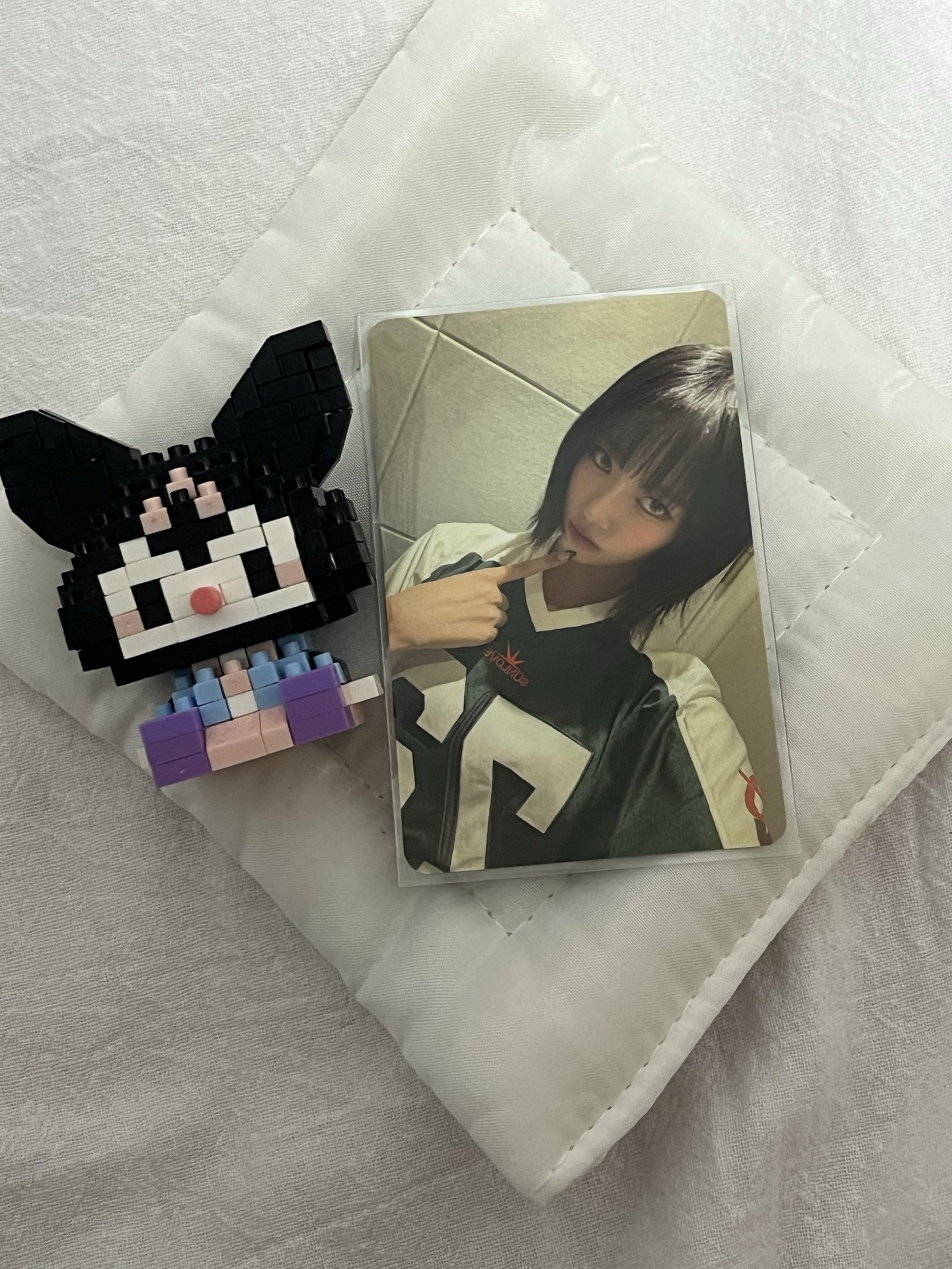 漂亮的短髮小貓🐈‍⬛