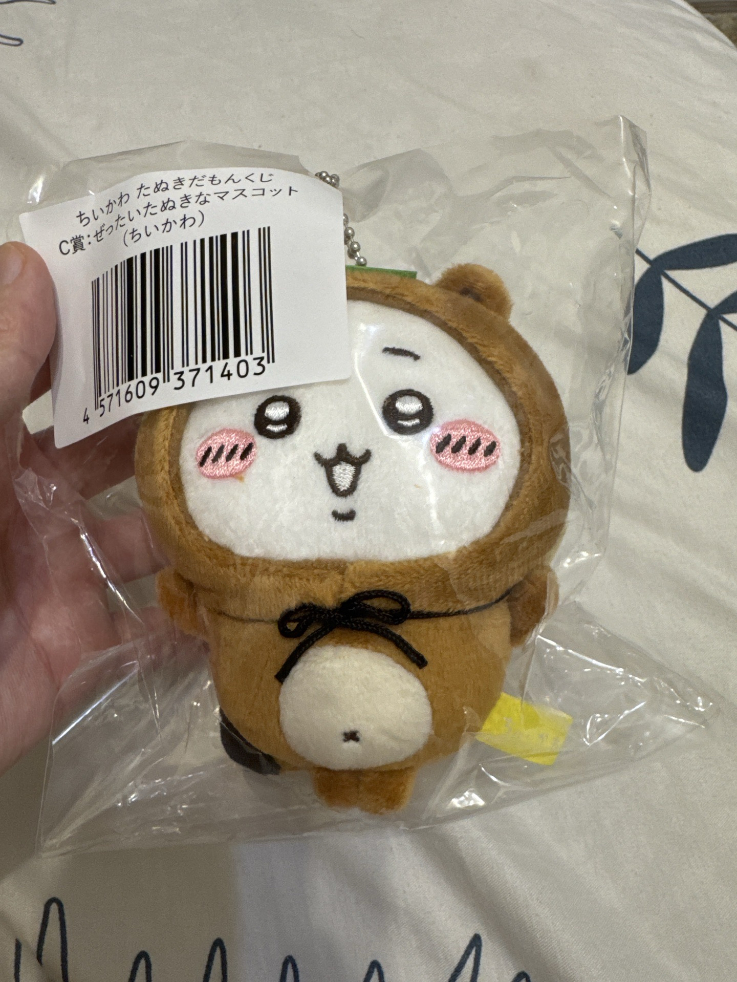 臉很甜的狸貓吉伊