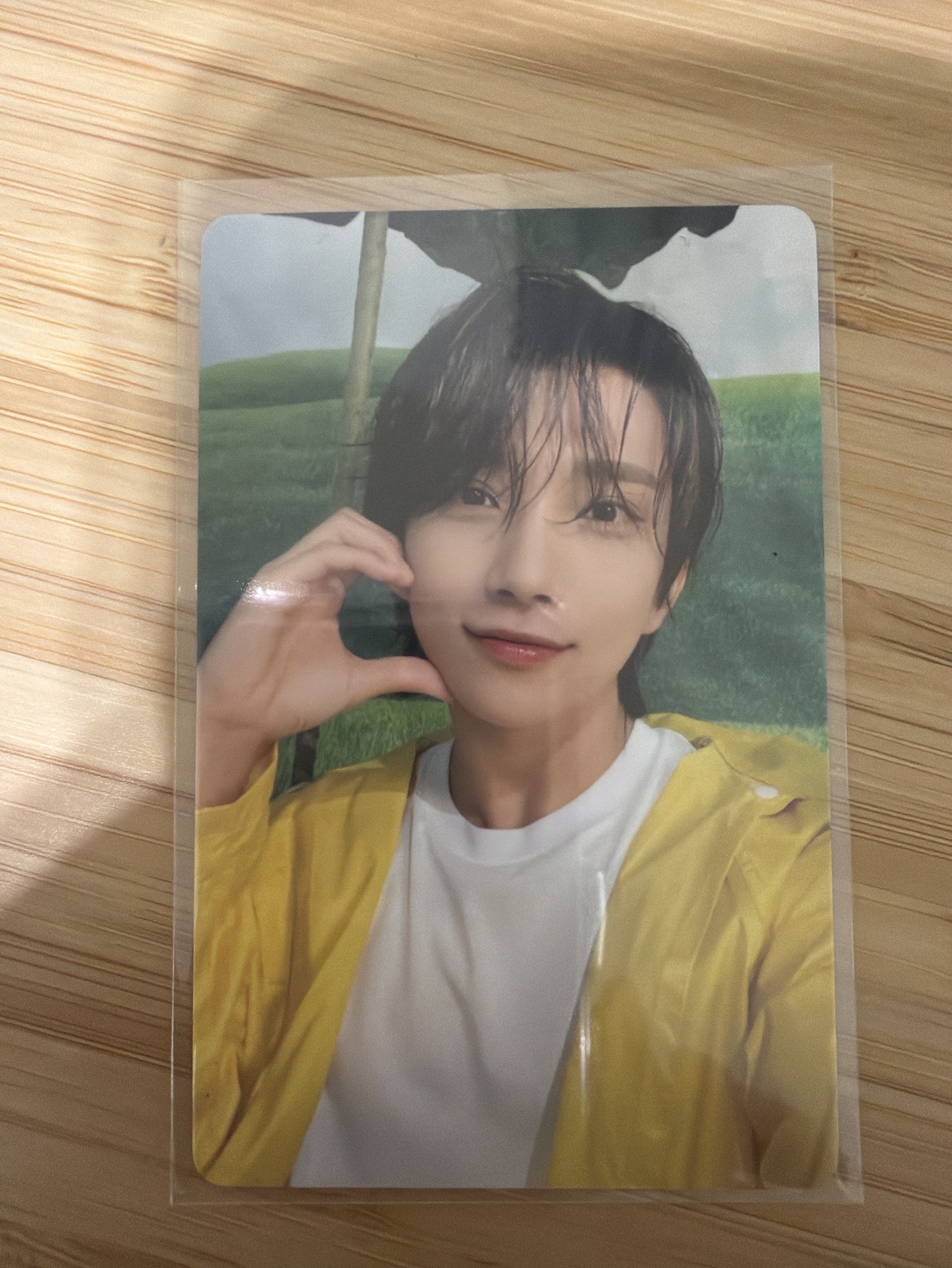 迷11 克拉盤（雨衣盤） 專卡