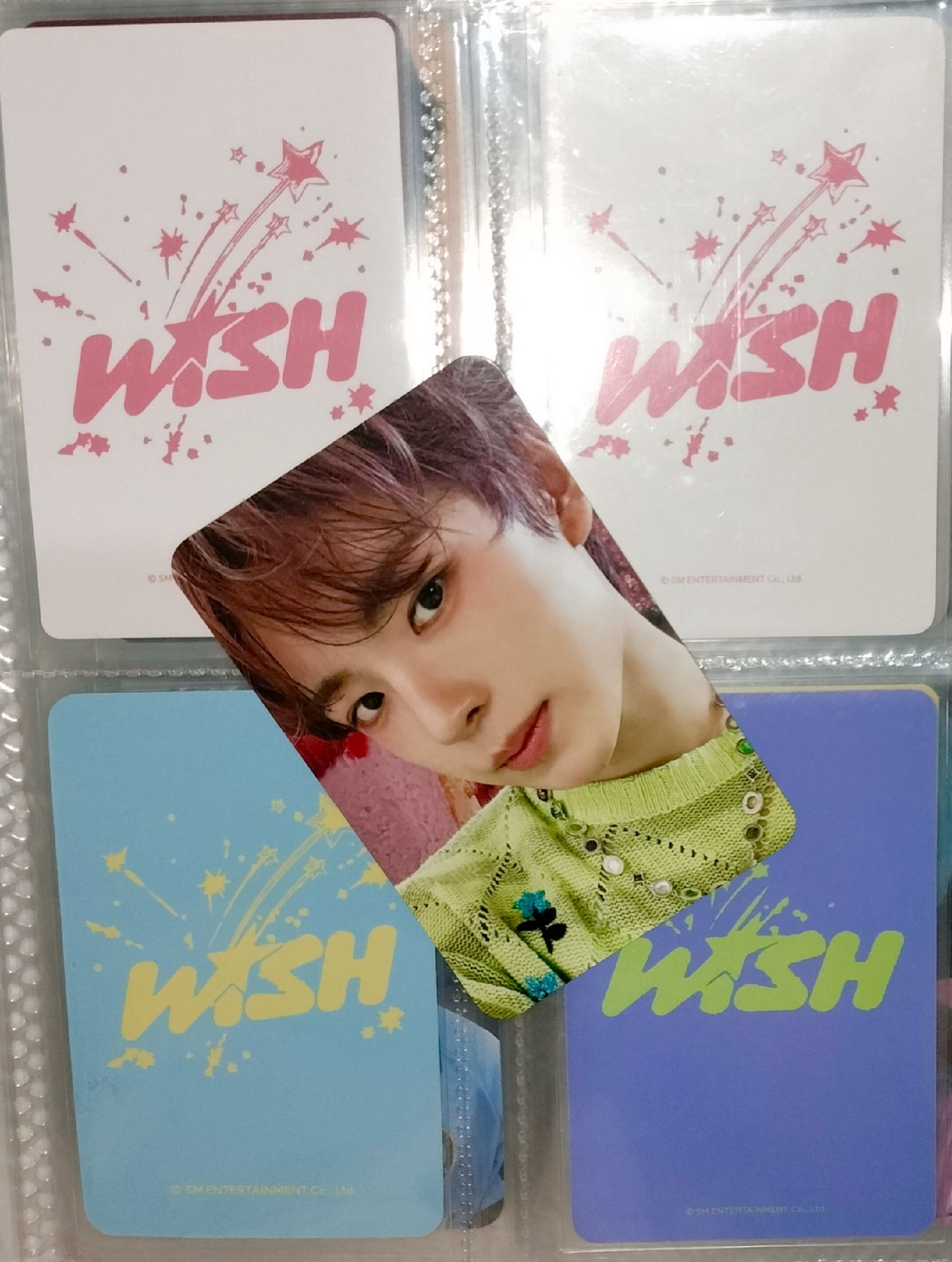 ⭐志 你在看我嗎?那...再靠近我一點吧🐱~