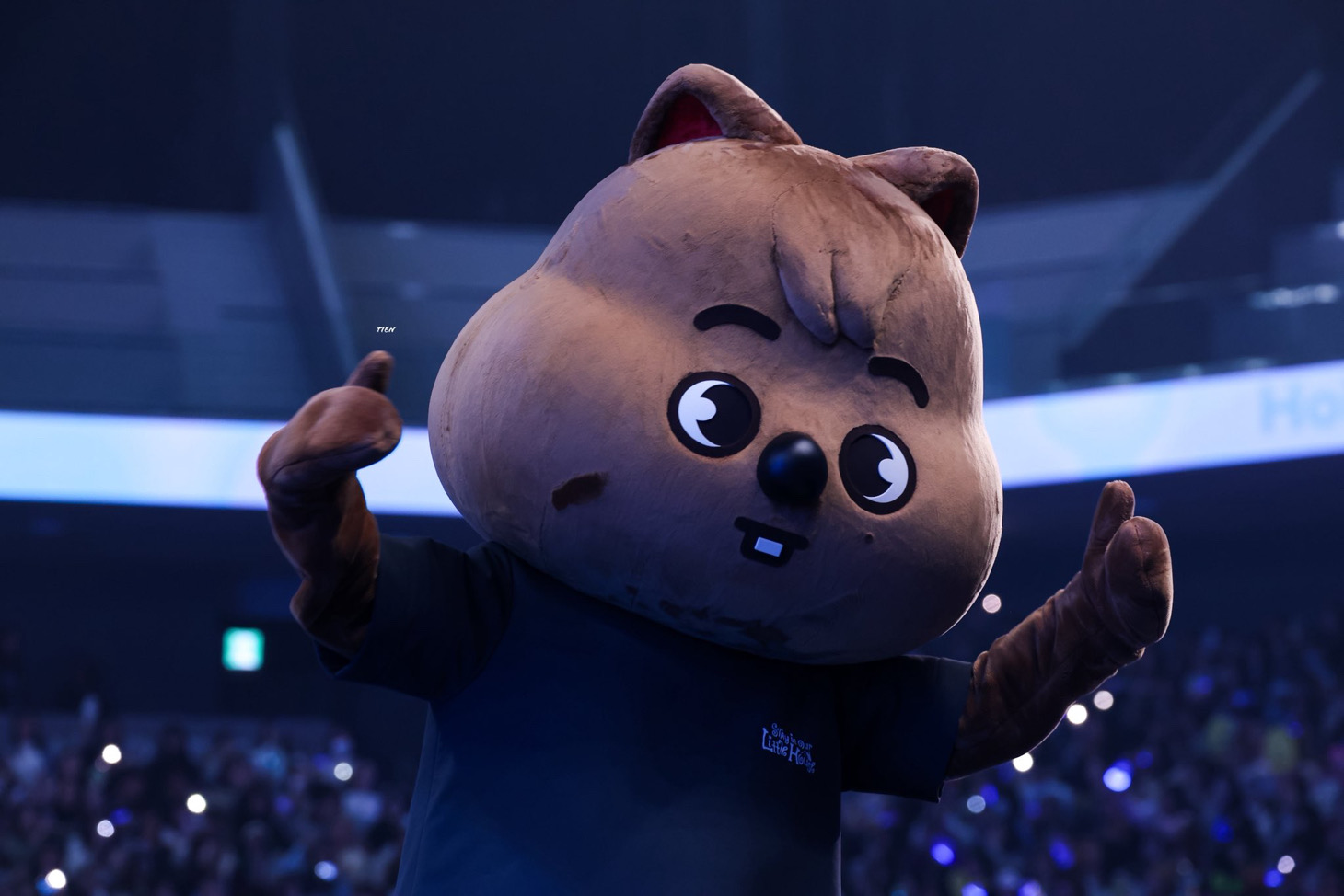 수아무