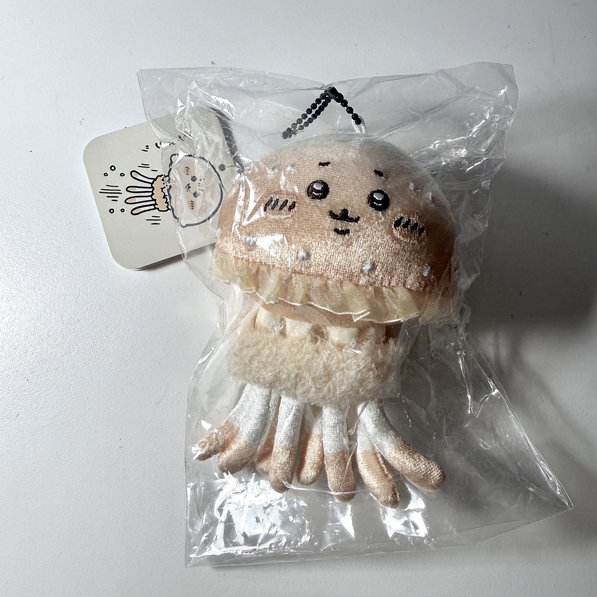 ⋆˚長野熊  ˖° —— 水母