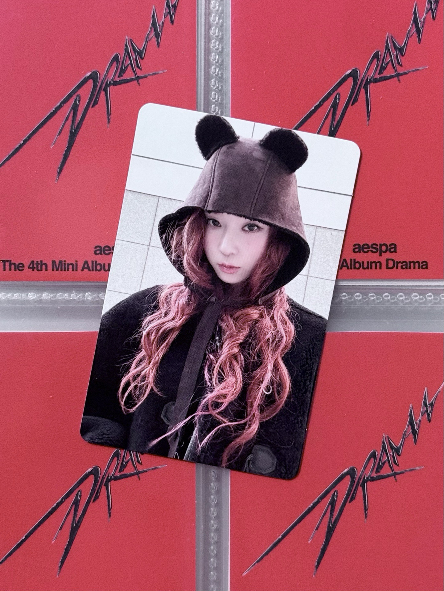 WINTER 華納特典卡 小熊冬