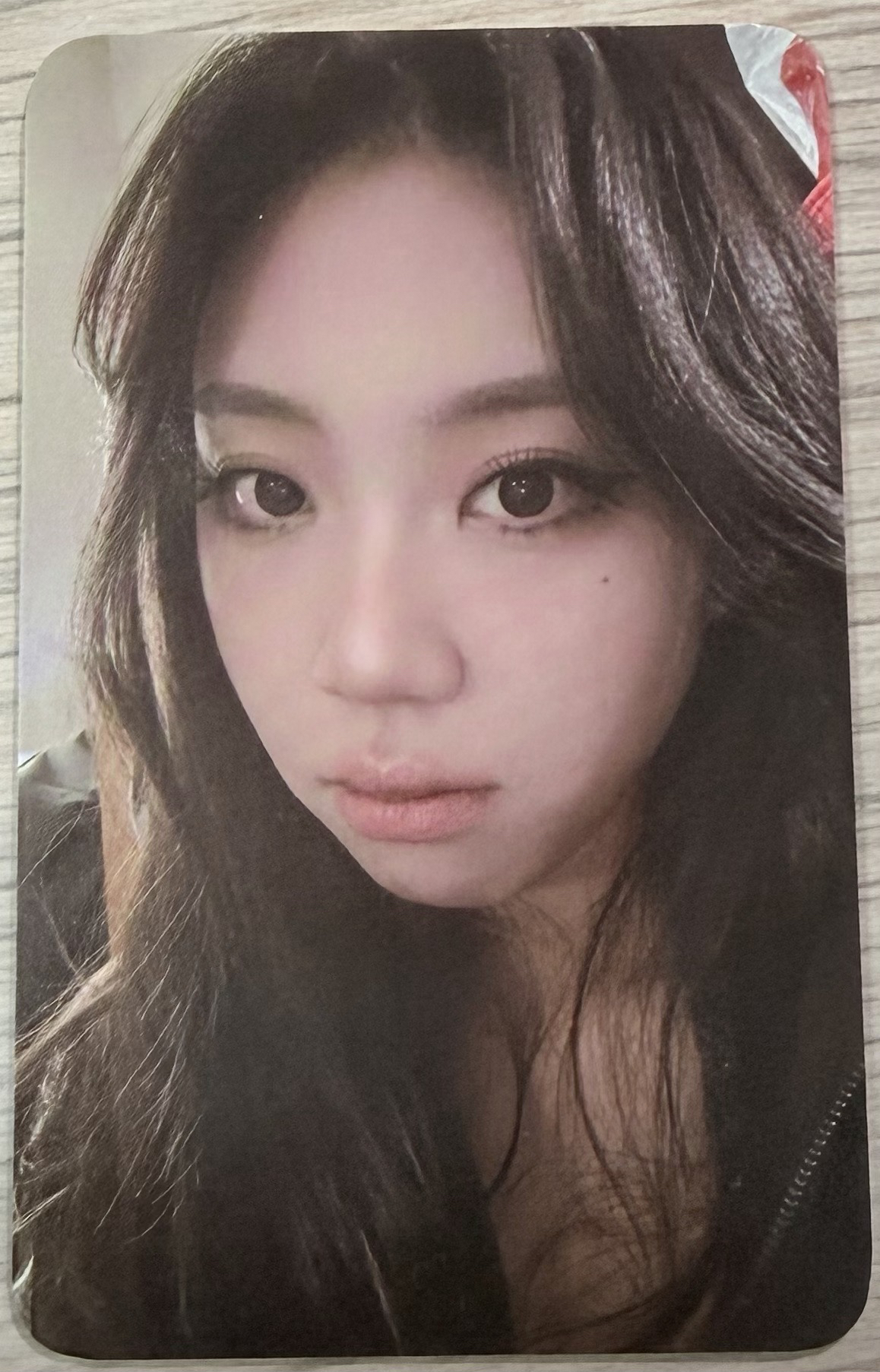 2026櫻花季 入場卡 李泳知